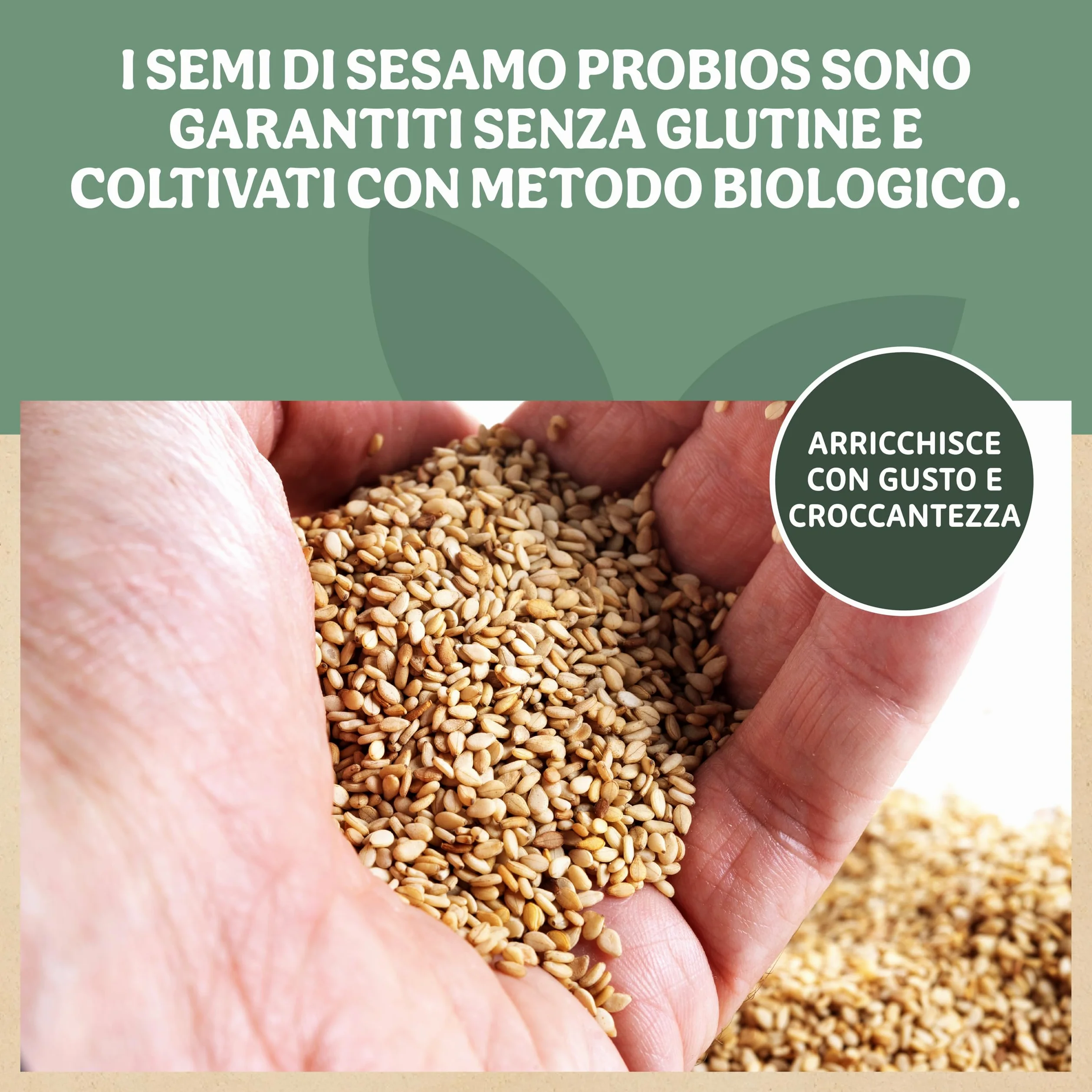 Probios Semi di Sesamo Biologici - Semi di Sesamo Premium per Cucinare, Cuocere al Forno e Guarnire - Senza Glutine, Naturale e Versatile - Confezione da 5 kg