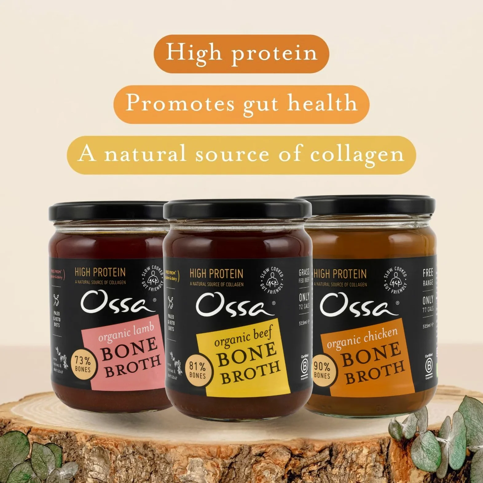 Ossa Chicken Ambient Bone Broth, High-Protein Broth, Preservative-Free Soup & Cooking Essential, Keto & Paleo-Friendly Soup Maker for Gut Health & Digestion, 515 mL