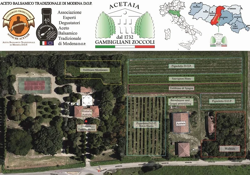 GAMBIGLIANI ZOCCOLI – ACETO BALSAMICO TRADIZIONALE DI MODENA CERTIFICATO D.O.P. OLTRE 25 ANNI D'INVECCHIAMENTO. Confezionato nel cofanetto ufficiale del consorzio produttori Antiche Acetaie
