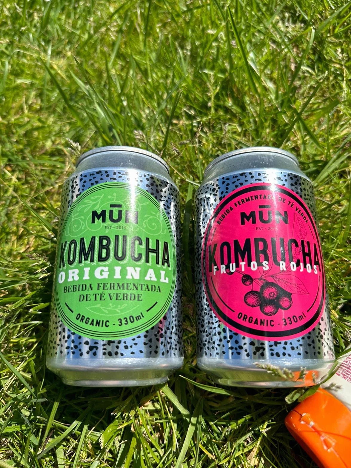 MUN KOMBUCHA ORGANIC - Confezione Mix 12 x 330 ml | Tè Kombucha Biologico e Probiotico Naturale | Senza Zucchero e Basso Contenuto Calorico, Senza BPA | Rinfrescante e Digestivo