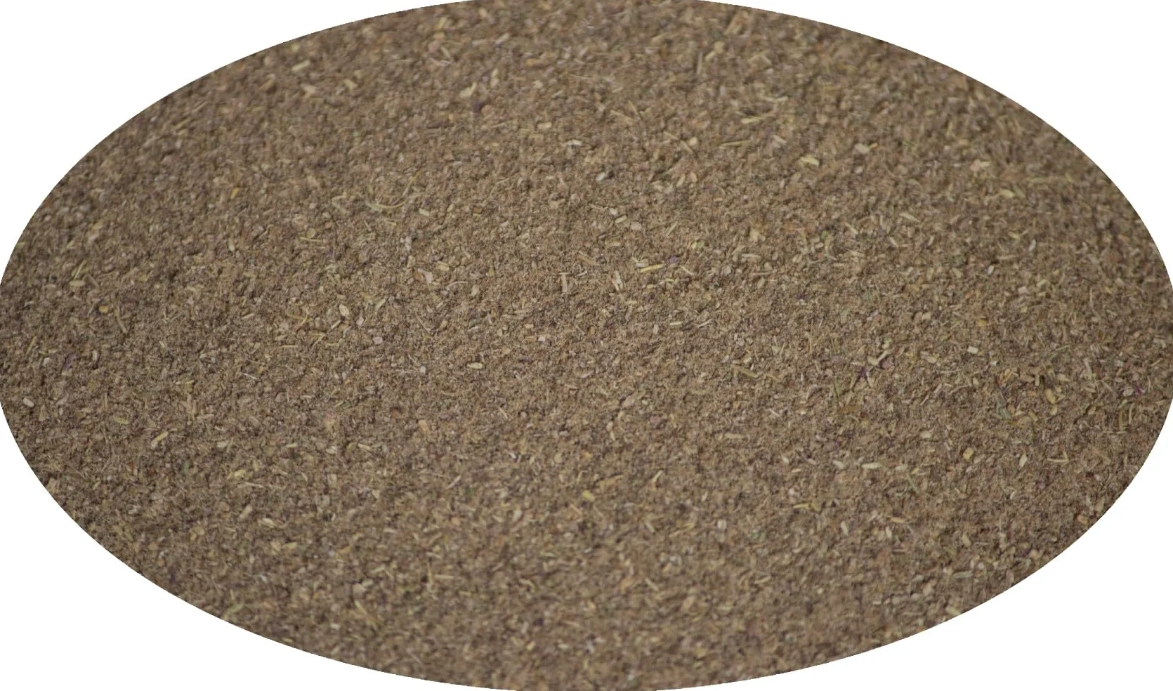 Eder Gewürze - Radica di Bertram tagliata – 500 g/ Radic Piretri