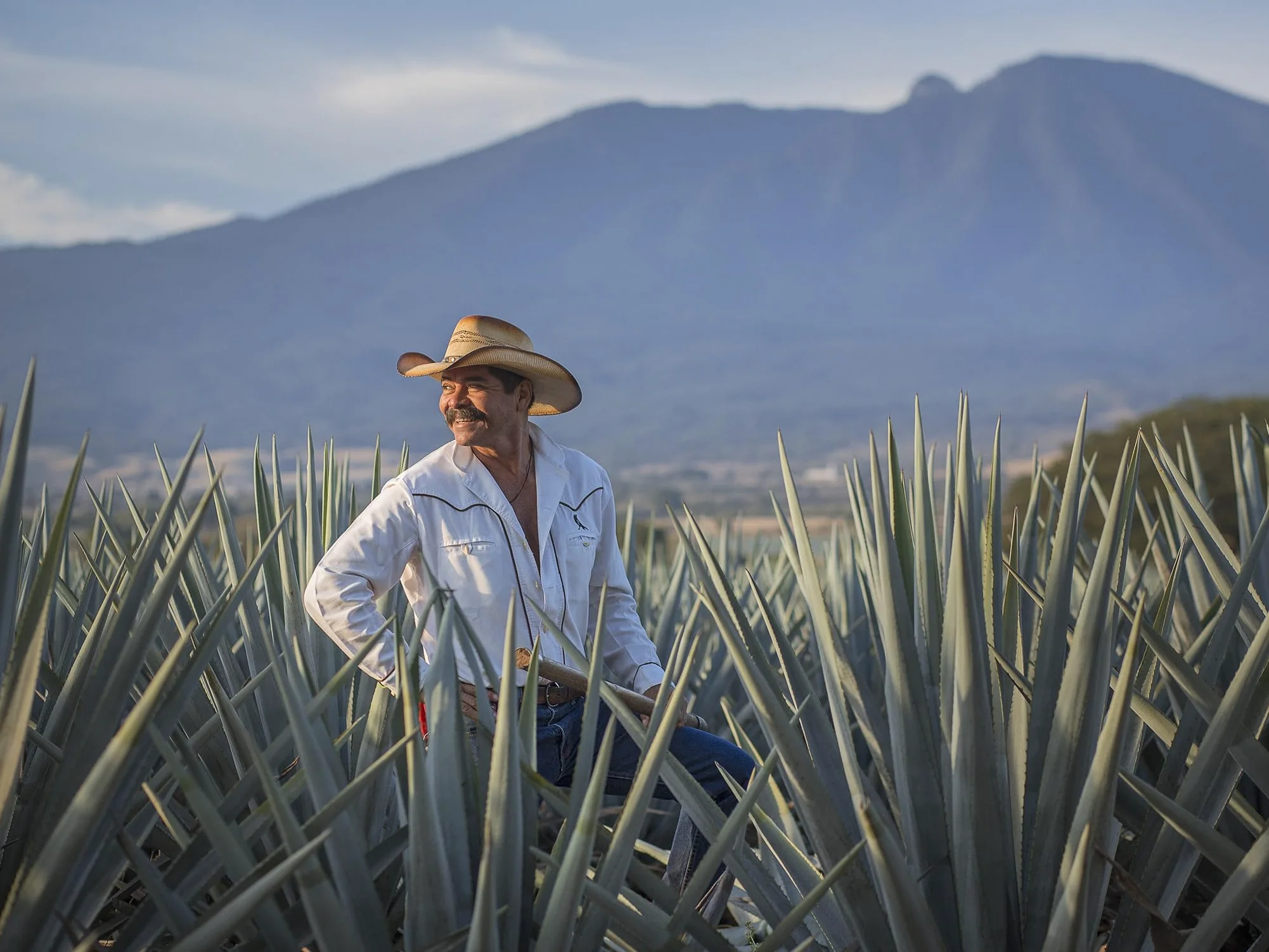 Jose Cuervo Reserva de la Familia Platino 70cl – Tequila super premium, non invecchiato. 40% vol