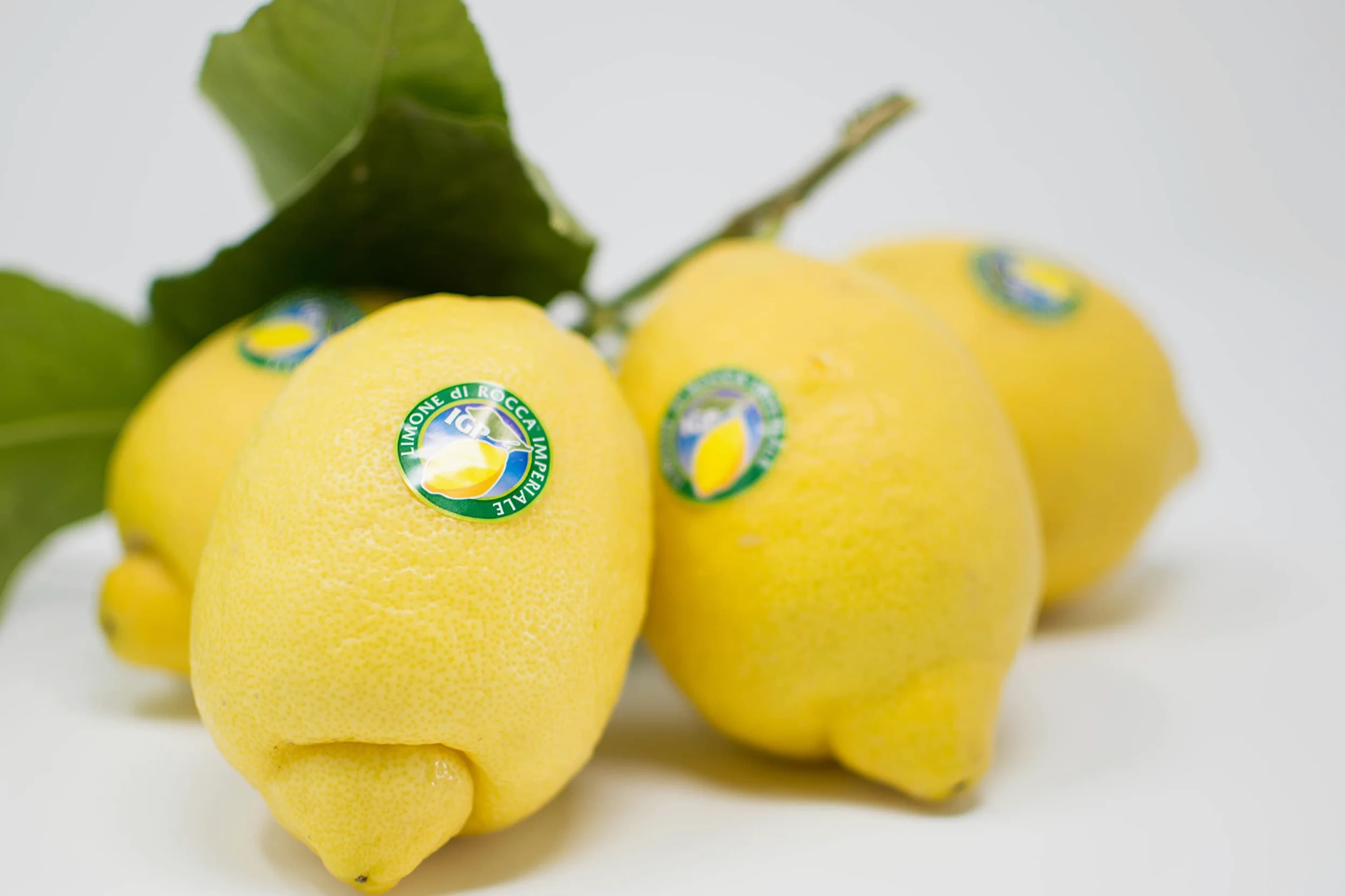 Limoni di Rocca Imperiale IGP - Box da 8 KG - Buccia Edibile - Limoni freschi