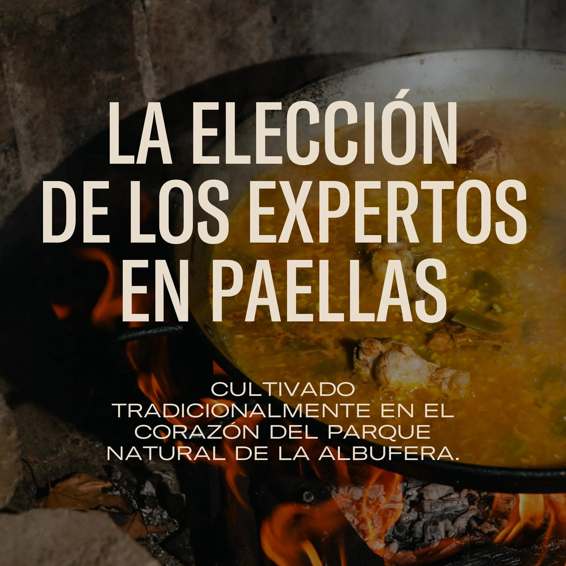 El PAELLER - Riso J. Sendra D.O. Valencia | Massimo assorbimento del sapore per paella e riso cremoso | Confezione da 3 unità da 1 kg