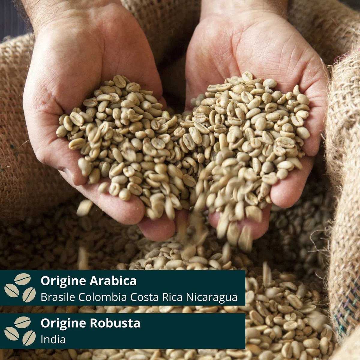 Caffè Europa - Caffè Biologico in Grani Ottenuto Attraverso Tostatura Artigianale, Caffe Vegano e Gluten Free, Miscela 80%Arabica- 20%Robusta, 1kg