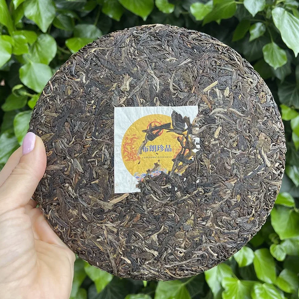 Tè Puer Sheng (crudo) Bulang Treasure • Raccolto del 2020 • Confezione da 357g • Tè cinese di qualità • TEA SOUL