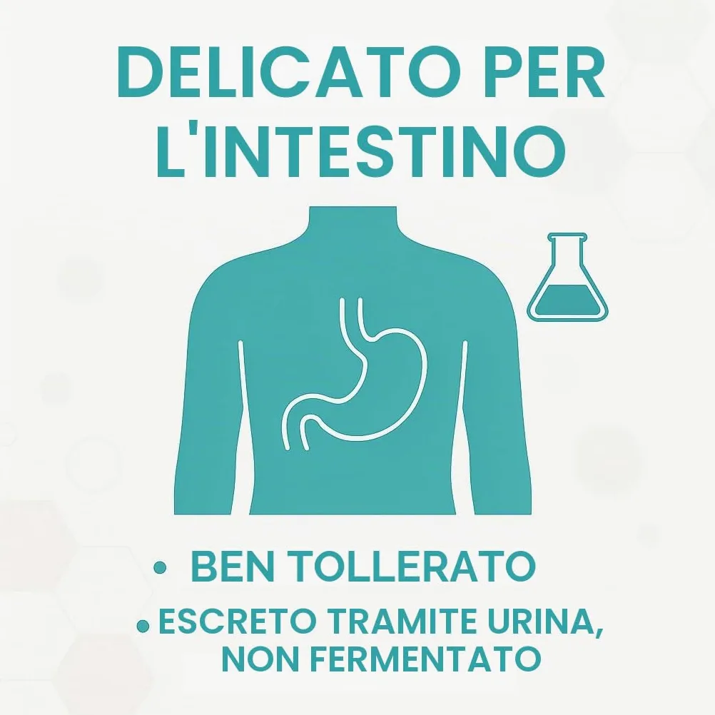 GiDeli Eritrito 5 kg in secchio, Zucchero semolato alimentare, Alternativa vegana e amica dei denti allo zucchero
