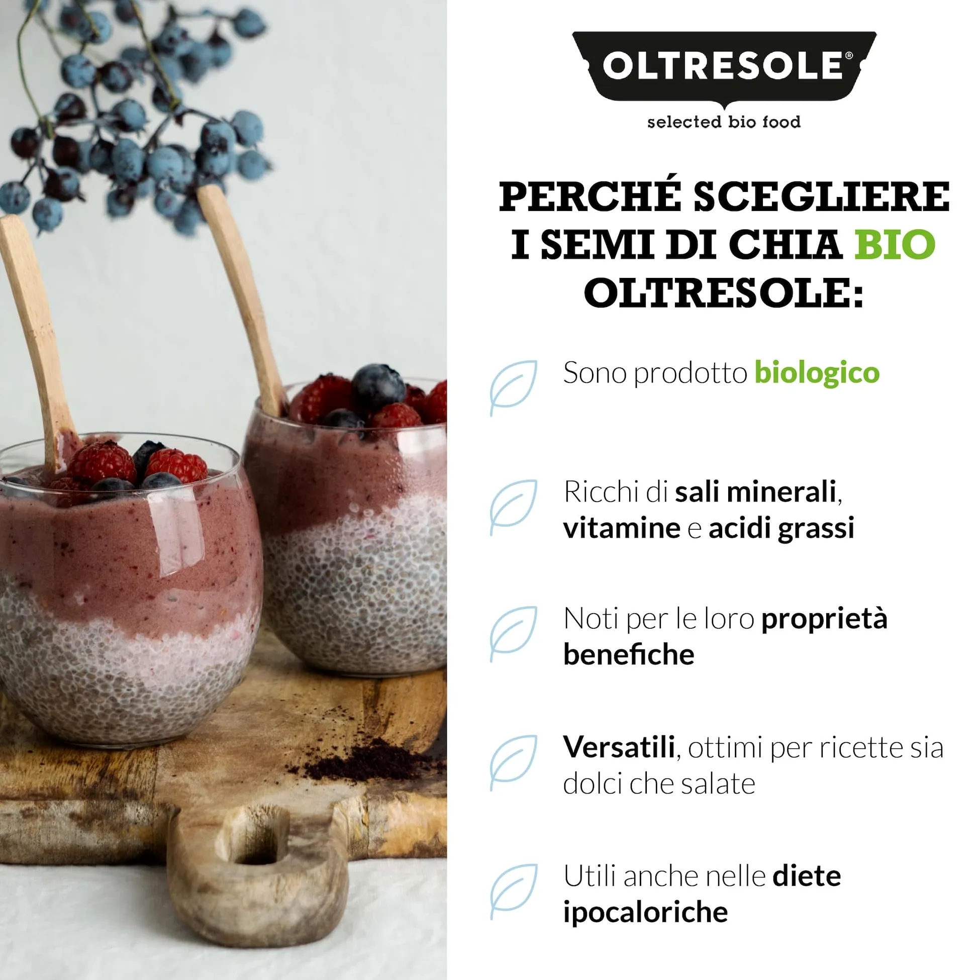 Oltresole | Semi di Chia Biologici - 3 Kg | Semi Chia Bio, Superfood Ricco di Proteine e Fibre, Senza Additivi | Ideali per Muesli, Insalate e Prodotti da Forno | Formato Famiglia
