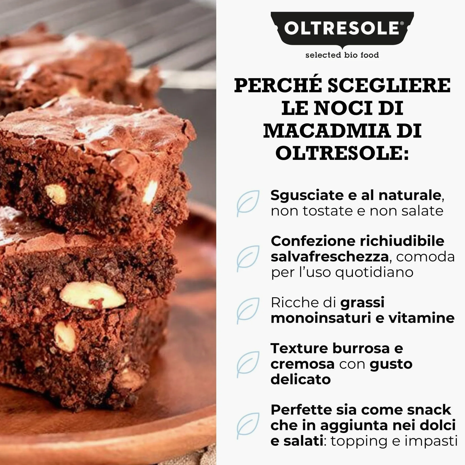 Oltresole, Noci di Macadamia Crude Sgusciate 1 Kg, Frutta Secca al Naturale Senza Sale, in Barattolo Richiudibile, Snack Salutare, Gusto Delicato e Cremoso, Selezionate