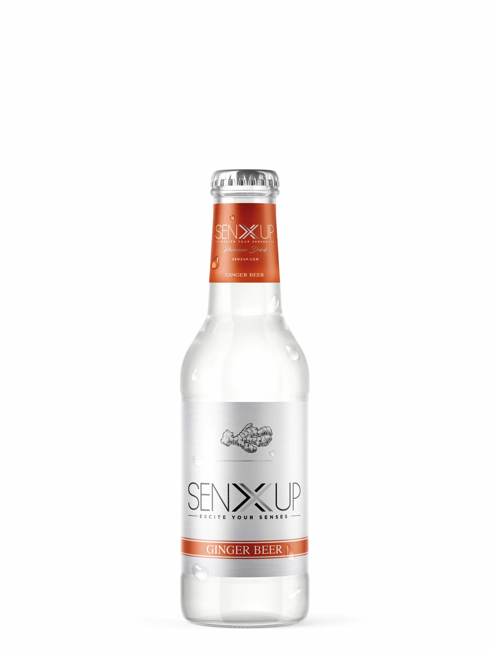 SENXUP Ginger Beer - Premium Mixer in Confezione da 24x200ml