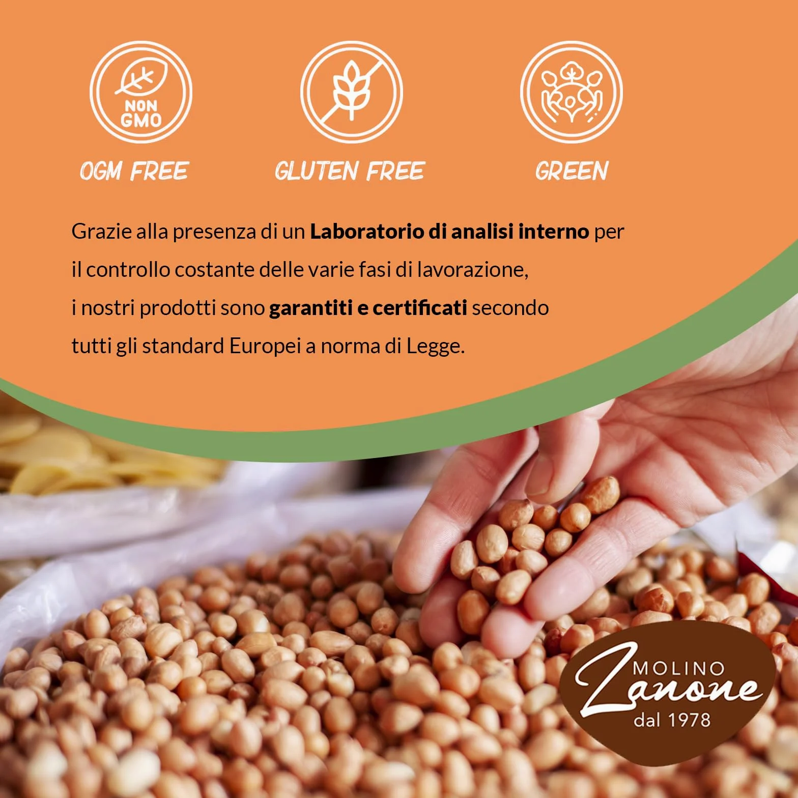 Maxi Box Zanut Contenente 20 Pezzi Da 100 g Castagne Morbide Cotte A Vapore Snack Naturali Pronti Da Gustare Senza Glutine E Senza Conservanti Basso Contenuto di Grassi e fonte Di Fibre