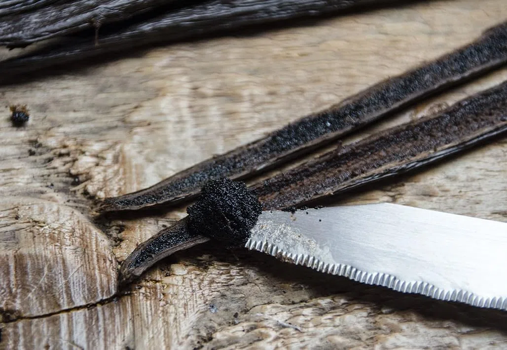 Caviale di Vaniglia Bourbon del Madagascar 25g – Semi di Vaniglia Puri – Polpa Estratta a Mano da Baccelli Selezionati – Ideale per Dolci, Gelati e Pasticceria