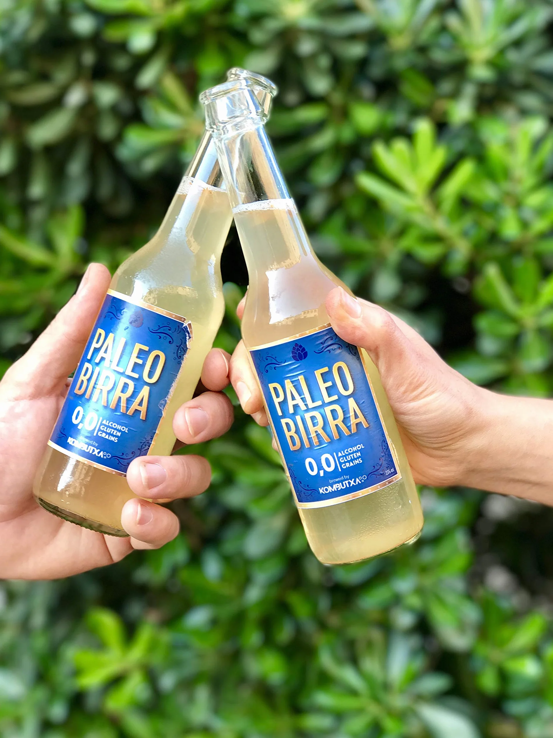 KOMBUTXA TÈ KOMBUCHA BIBITA ECOLOGICA - Confezione da 12ud di 250ml | Sapore Paleobirra | Bevanda Energetica al Tè Fermentato Biologico | Senza zuccheri aggiunti