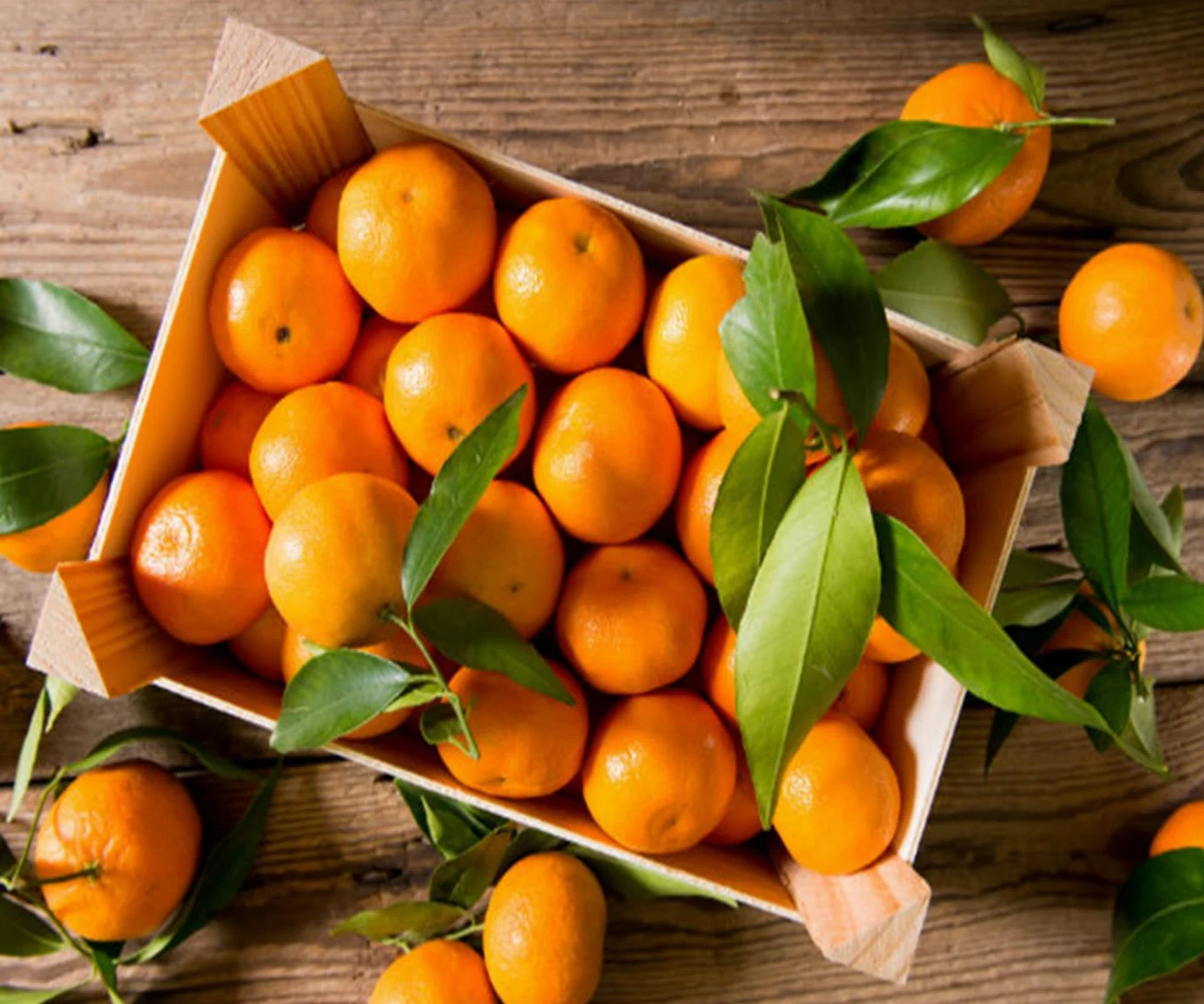 Agrumi BoxMix Kg.9 di Agrumi: di cui CLEMENTINE e ARANCE di Corigliano-Rossano Calabria - Agrumi Mandarini Mandarancio Naveline Navel