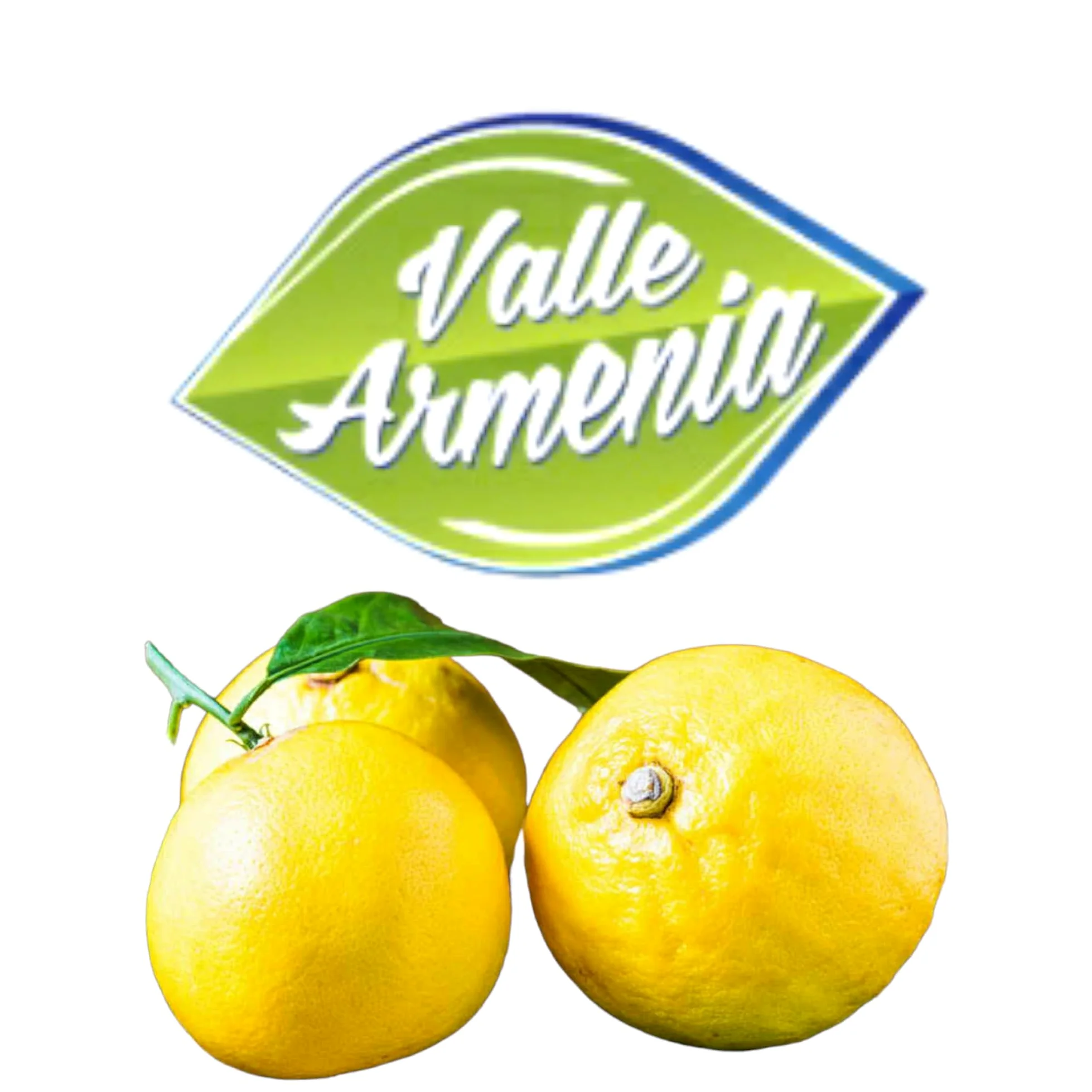 Celebra il Gusto Autentico con il Succo di Bergamotto Puro: Sei Bottiglie da un Litro per un'Esplosione di Freschezza!