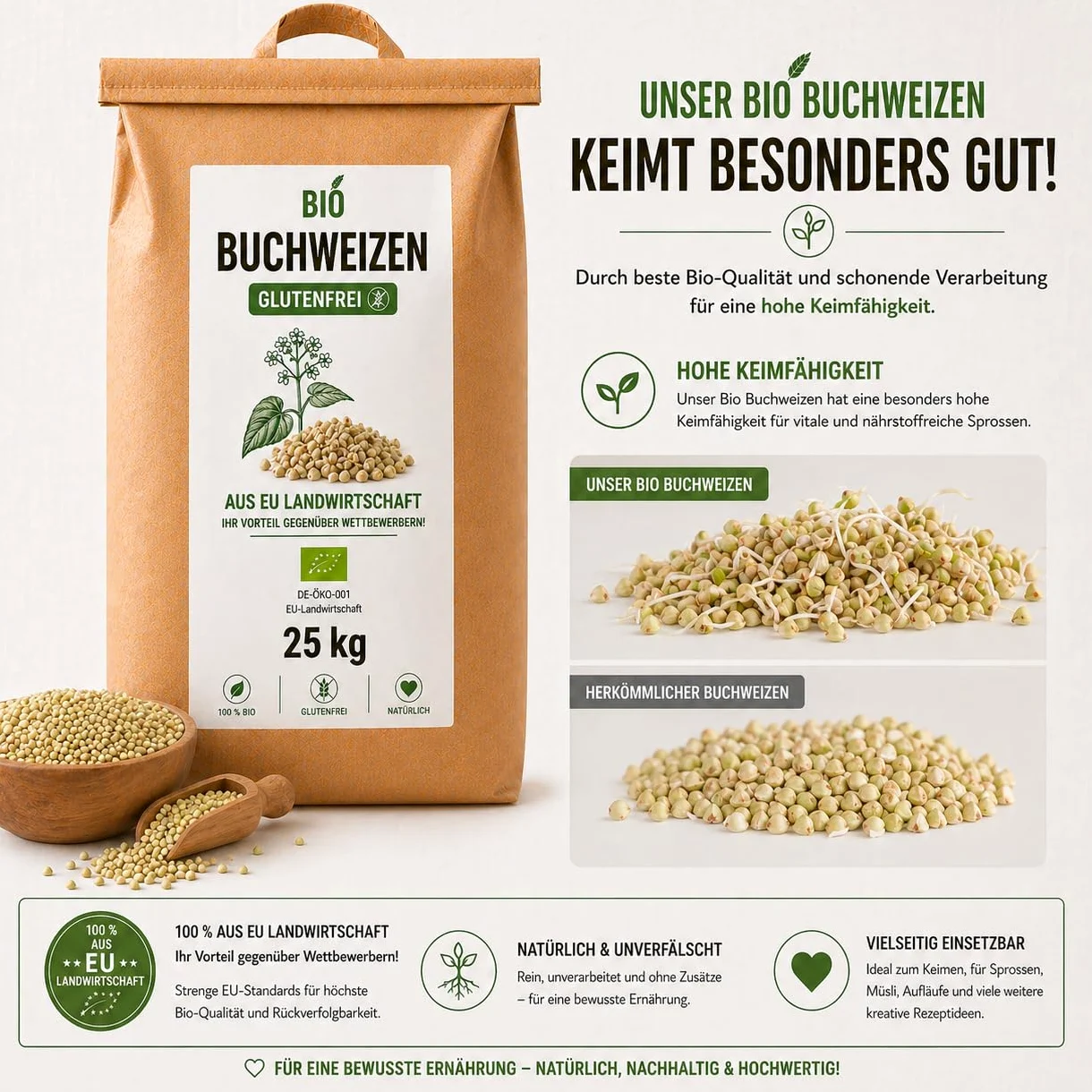 Bäckerei Spiegelhauer Grano saraceno biologico decorticato 25 kg I Senza glutine germinabile I Provenienza Lituania I Per pane germogliato germogli e farina vegano