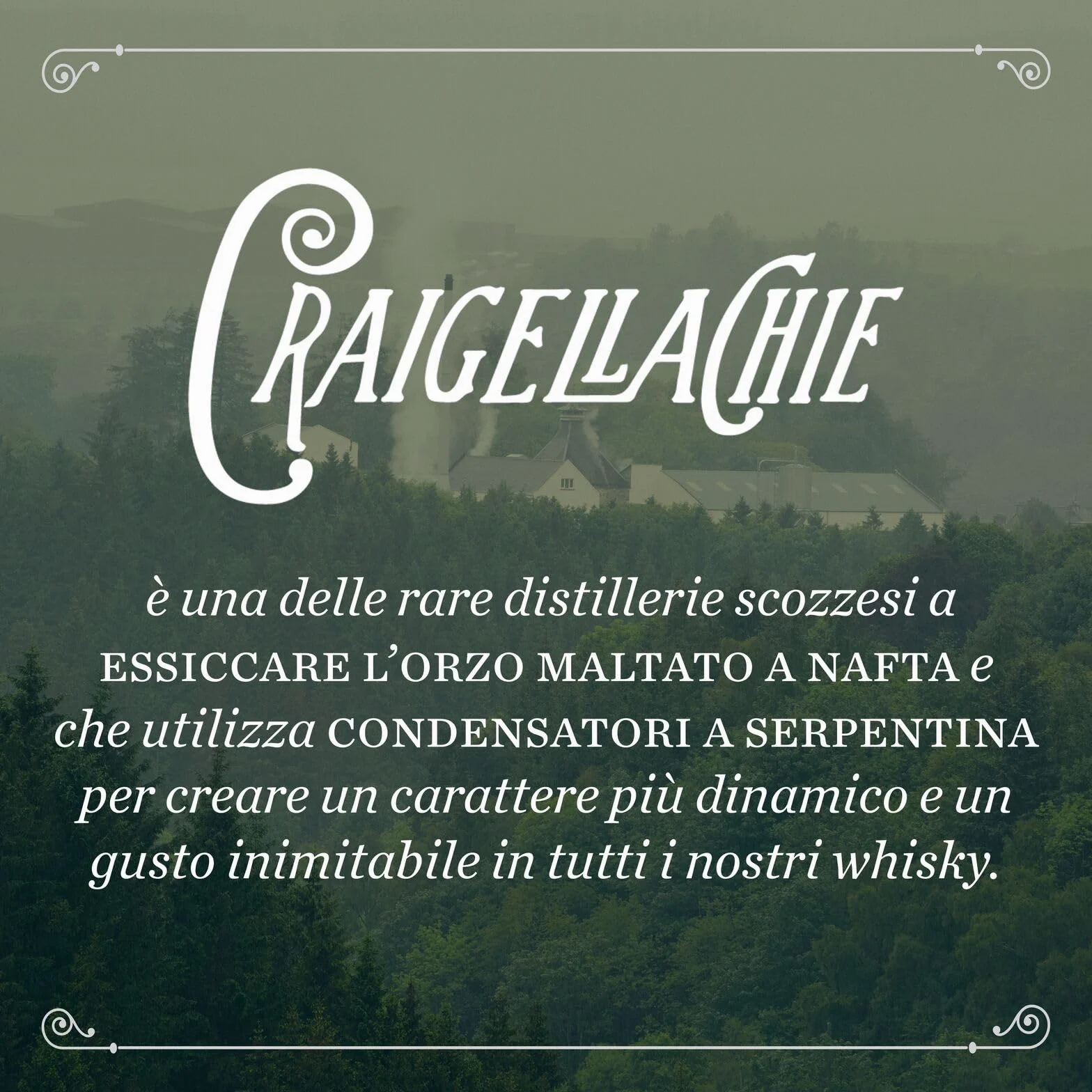 CRAIGELLACHIE 23 Anni Speyside Single Malt Scotch Whisky, 46% vol., 70 cl – Tubo Regalo, Botti di primo riempimento Sherry e Bourbon, Non filtrato a freddo, Edizione da collezione