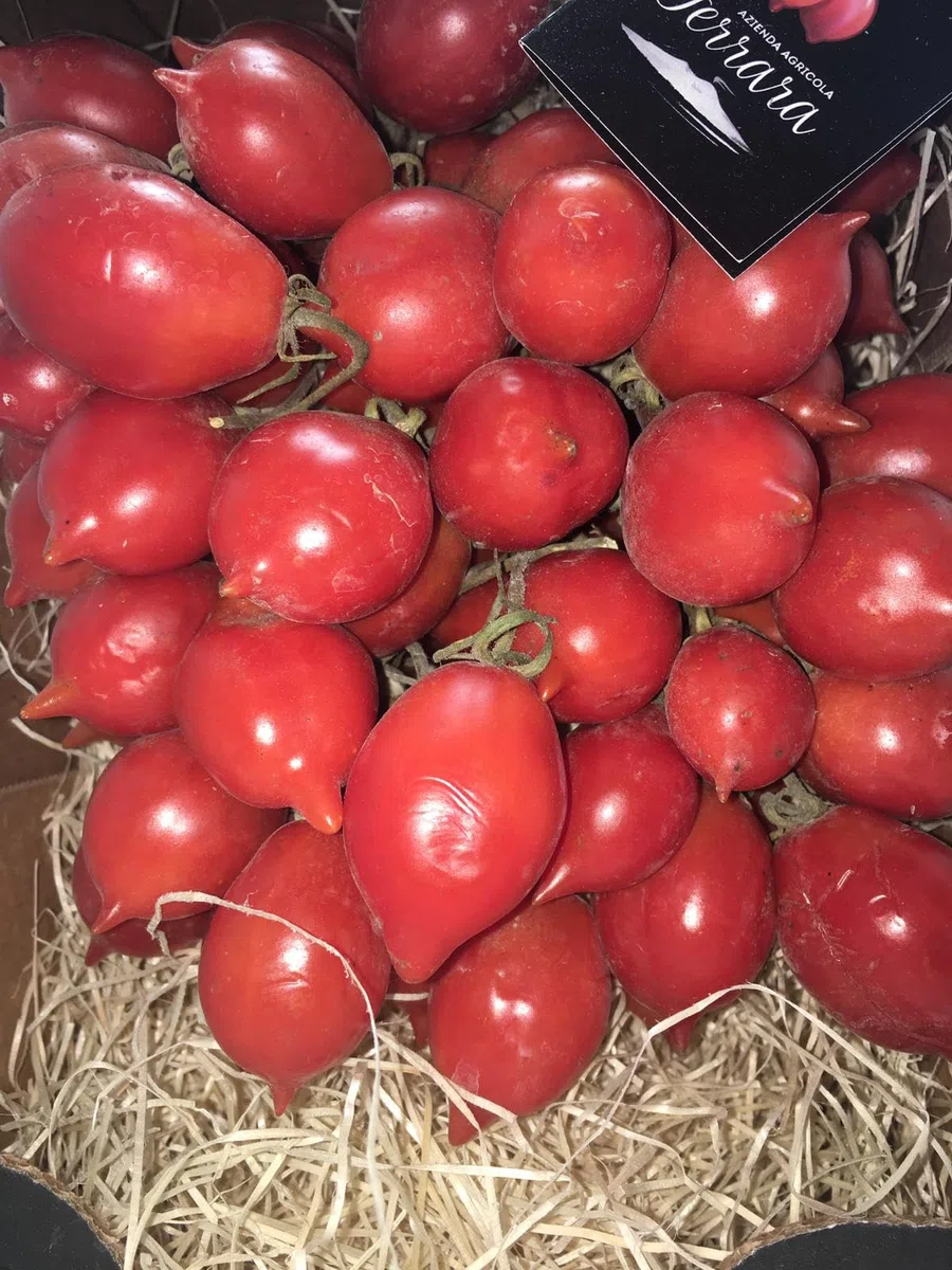 Pomodorino del Piennolo del Vesuvio kg.1,5