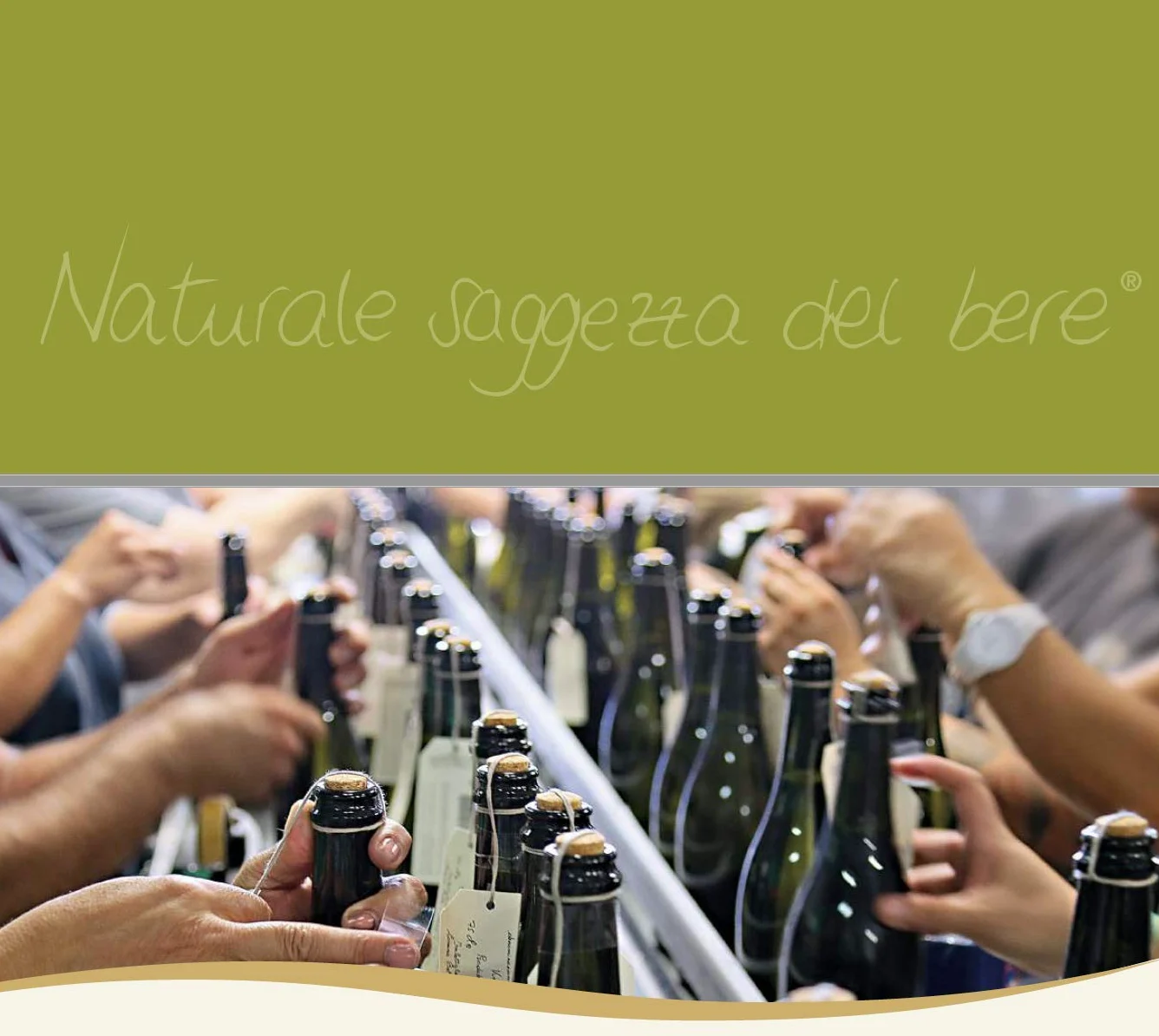 FIOCCO DI VITE Piemonte Doc Barbera Frizzante Fiocco Di Vite Vino Rosso Frizzante - 6 Bottiglie - 6x75cl