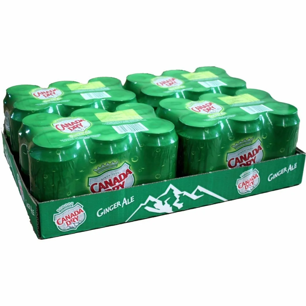 Canada Dry Ginger Ale - Confezione da 4 barattoli da 6 x 0,33 l (24 lattine sigillate)