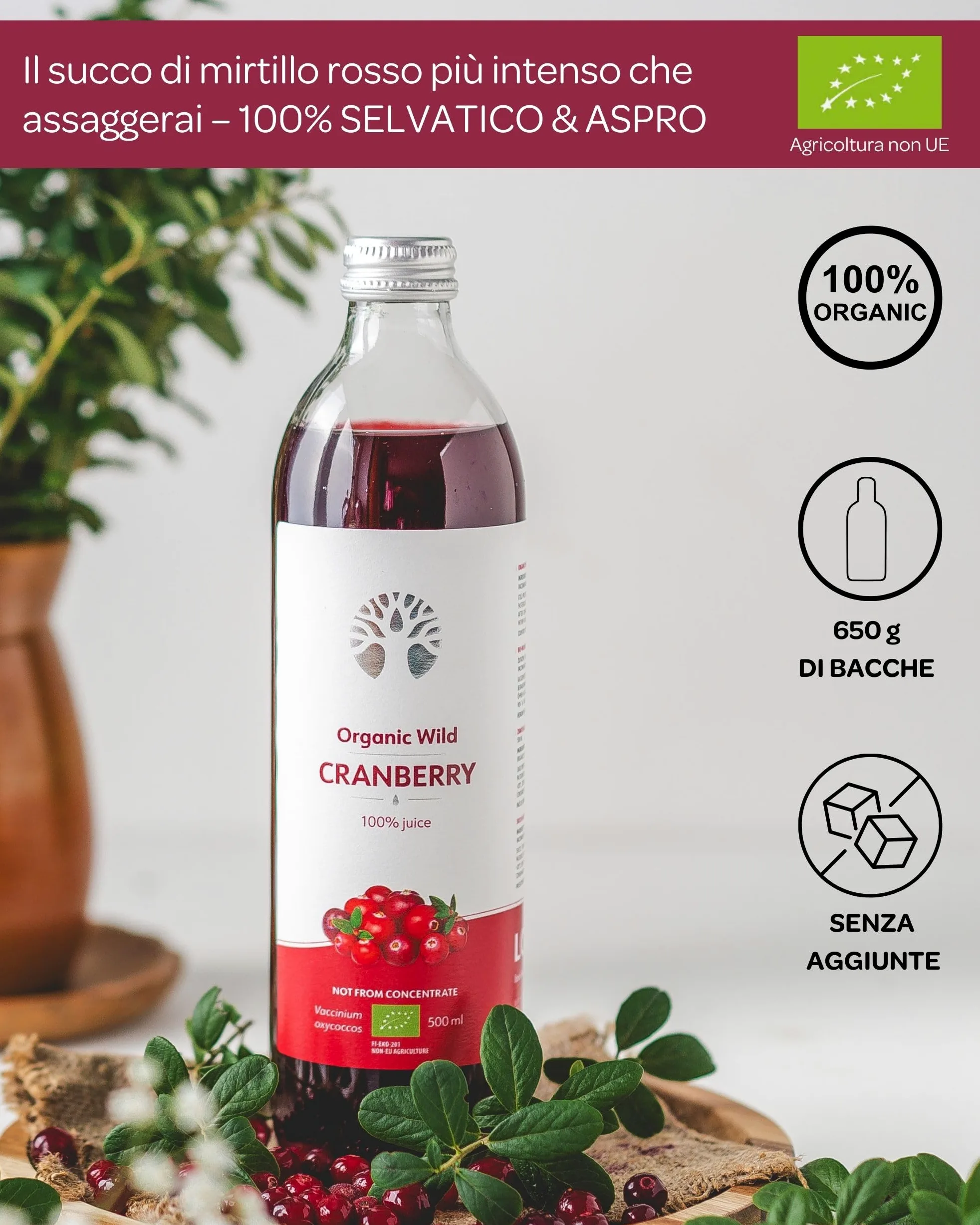 Succo di mirtillo rosso selvatico biologico LOOV – 100% puro, spremuto a freddo, senza zuccheri aggiunti – Sapore forte, non da concentrato – 6 x 500 ml in vetro