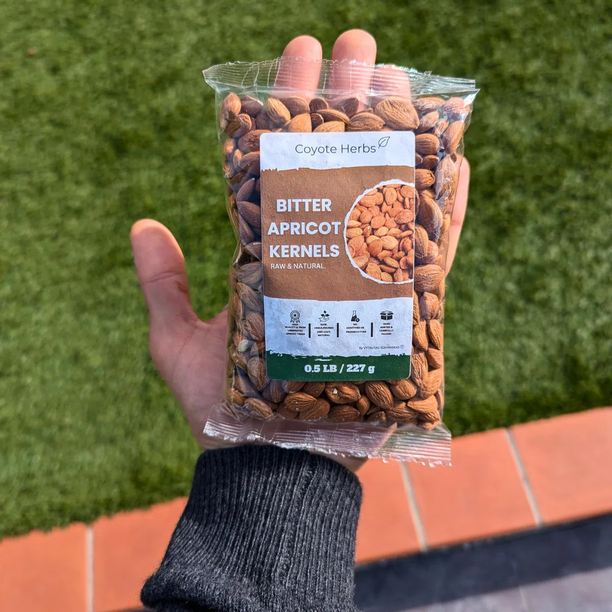 Noccioli di Albicocca Amari Naturali 227g/8 oz: Semi Grezzi & Mandorle