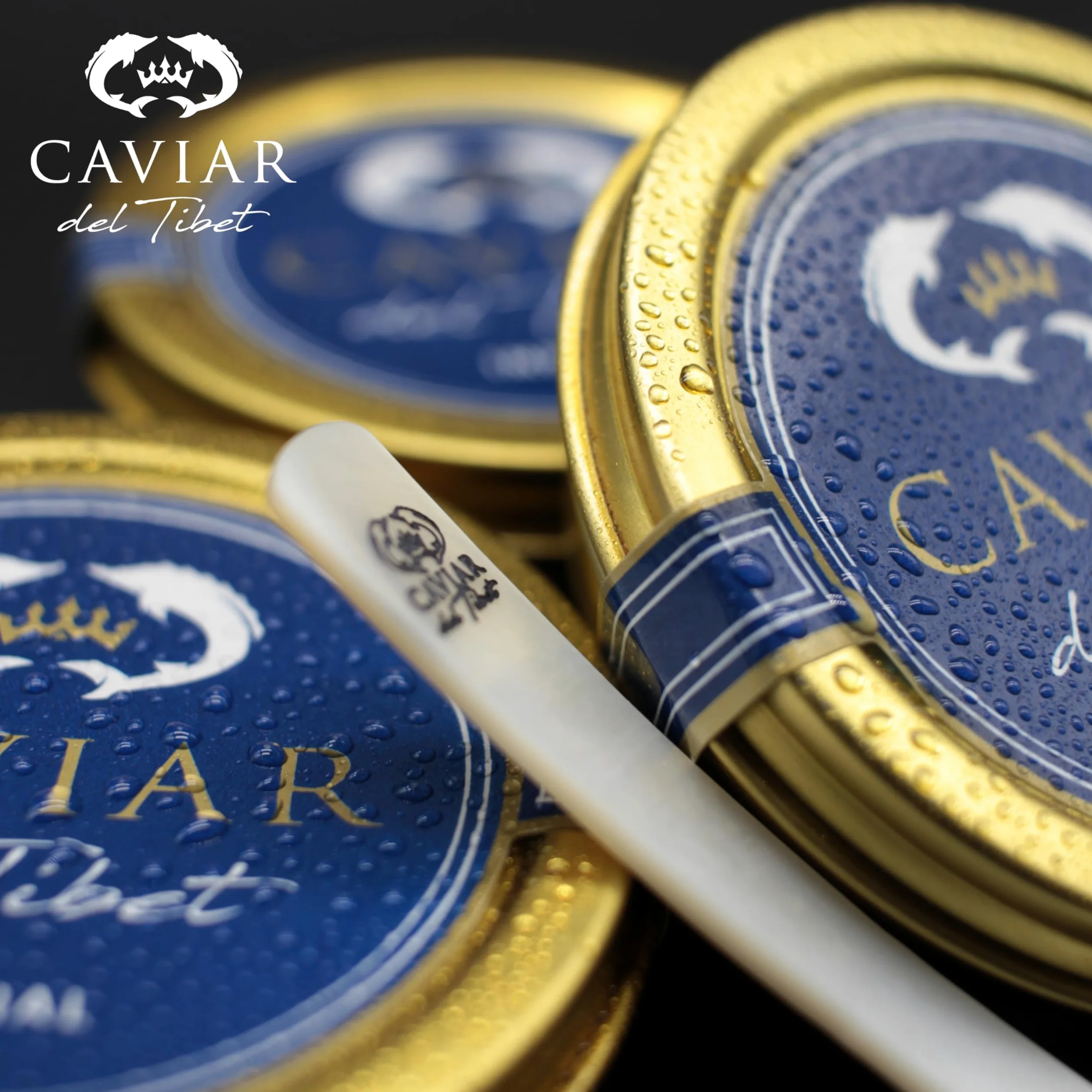 Caviale del Tibet – Caviale Imperiale 50gr – Caviale di Storione Ascipenser Schrenckii e Huso Dauricus – Uova di Caviale – Caviale Gourmet