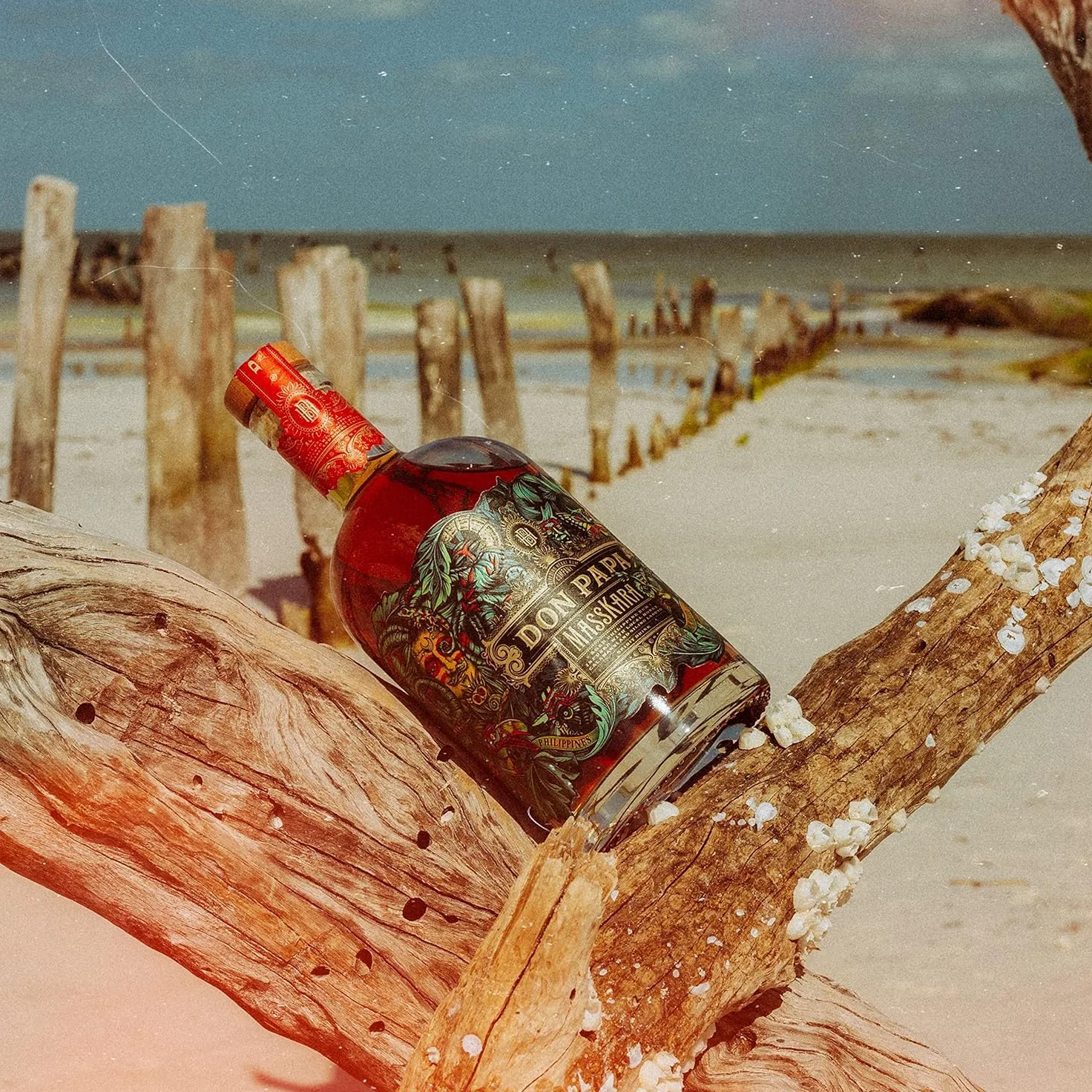 Don Papa Masskara gift