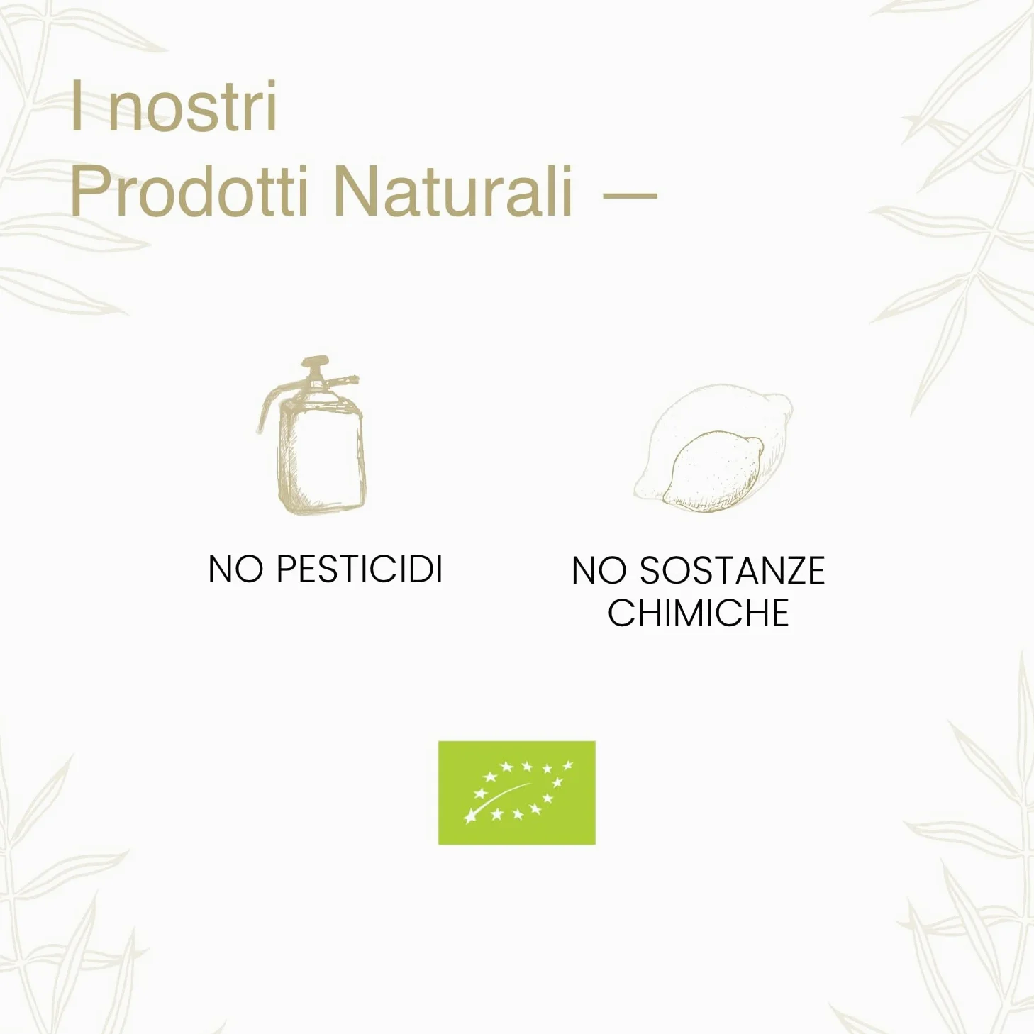 Limoni 100% Siciliani e 100% Biologici - Massima Freschezza e Sostenibilità, Limoni Raccolti Direttamente dai Nostri Alberi - 4 kg - CERTIFICATI BIOLOGICI QUESTO FA LA DIFFERENZA