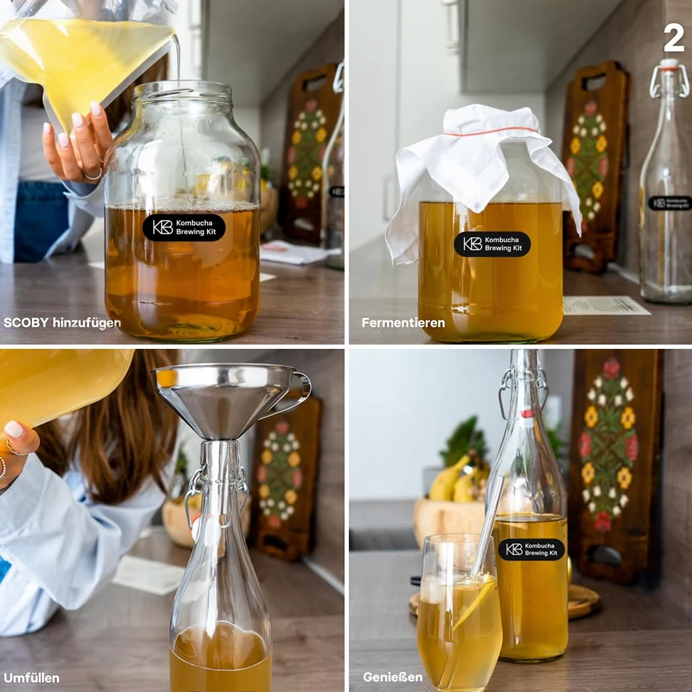 Kombucha Brewing Kit XL Bundlecon 2x coltura starter SCOBY biologica, 4 gusti di infusione, con 2x vaso di fermentazione, 2 bottiglia swing-top, zucchero di canna grezzo biologico, cannuccia di vetro