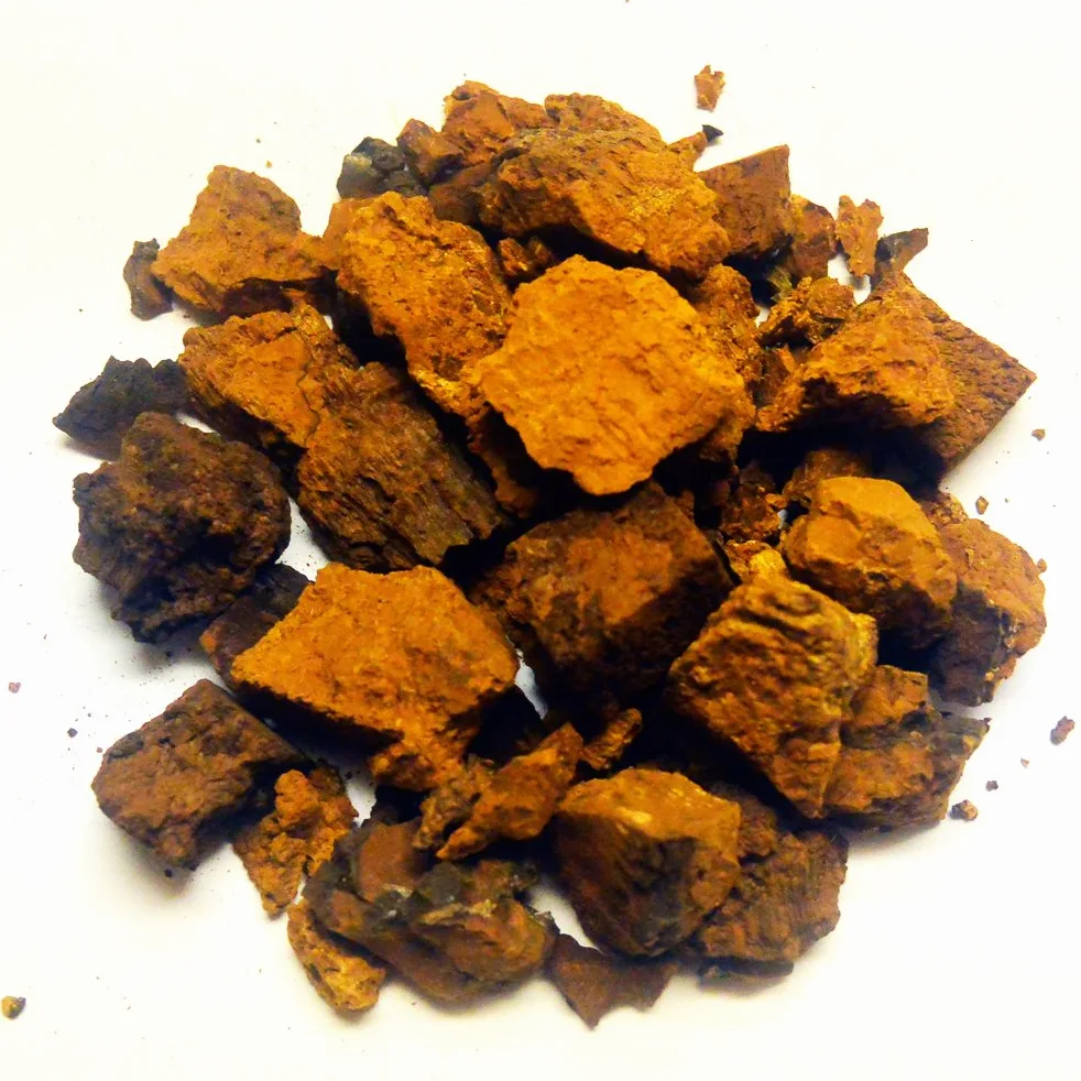 Chaga Chaga Funghi secchi 900 g tritati fino a 3-5 cm Crescita selvatica. per infusi e decotti
