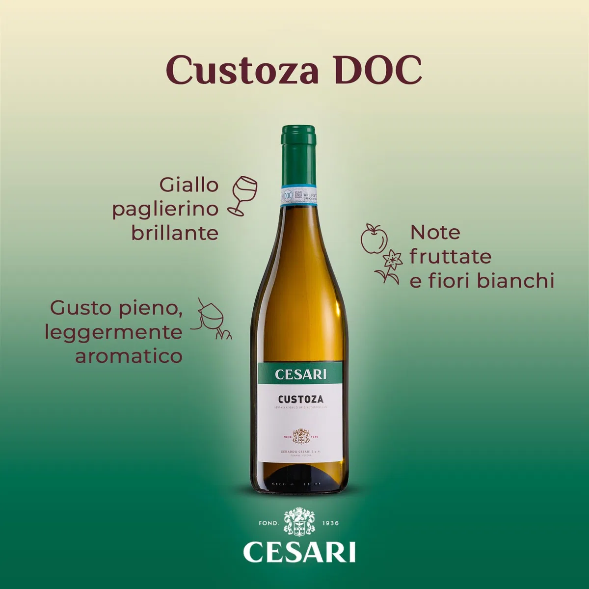 Cesari Custoza DOC - Vino Bianco dai Delicati Profumi di Frutta e Fiori Bianchi, Gusto Pieno e Leggermente Aromatico - 12,5% Vol - Bottiglia da 750 ml