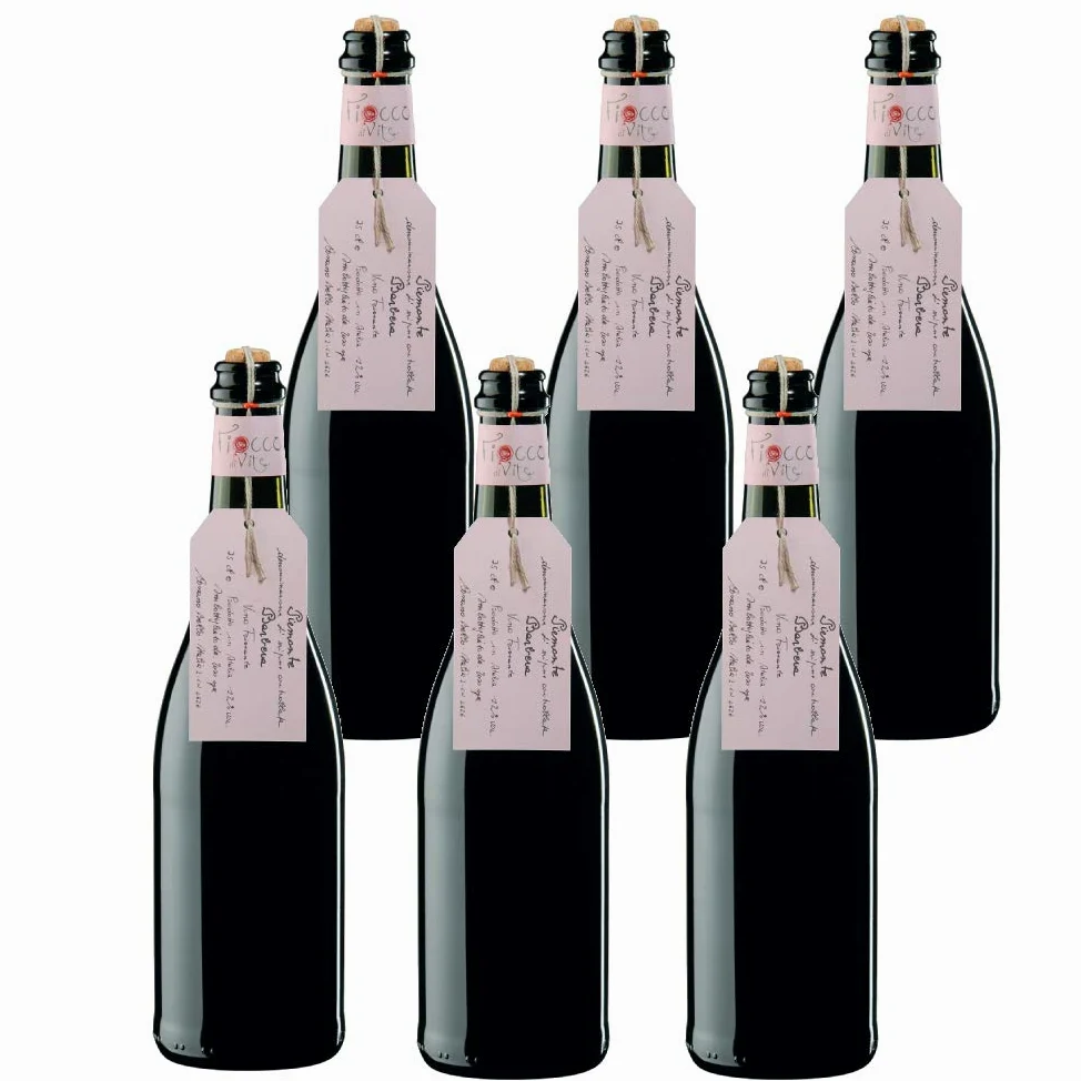 FIOCCO DI VITE Piemonte Doc Barbera Frizzante Fiocco Di Vite Vino Rosso Frizzante - 6 Bottiglie - 6x75cl