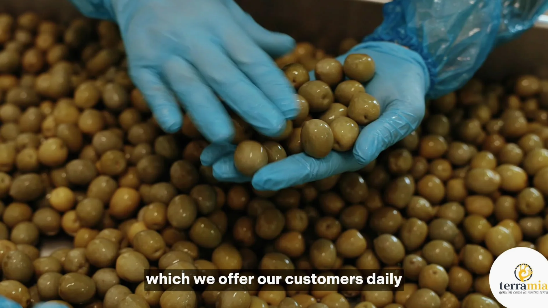 Terramia Olive Nere Infornate Siciliane – Ricetta Artigianale Tradizionale, da Azienda Premiata Ercole Olivario e Monna Oliva, Formato Scorta 2kg (4 Buste x 500g)