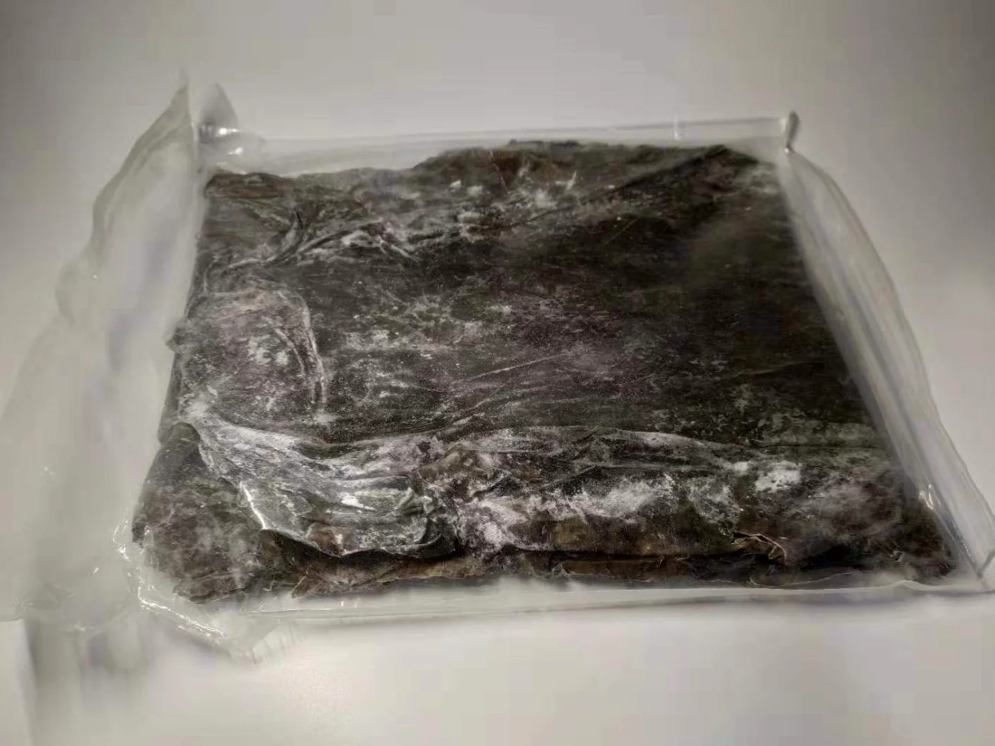 Kelp essiccato, kombu essiccato, alghe secche 500g (1 bag 500g)