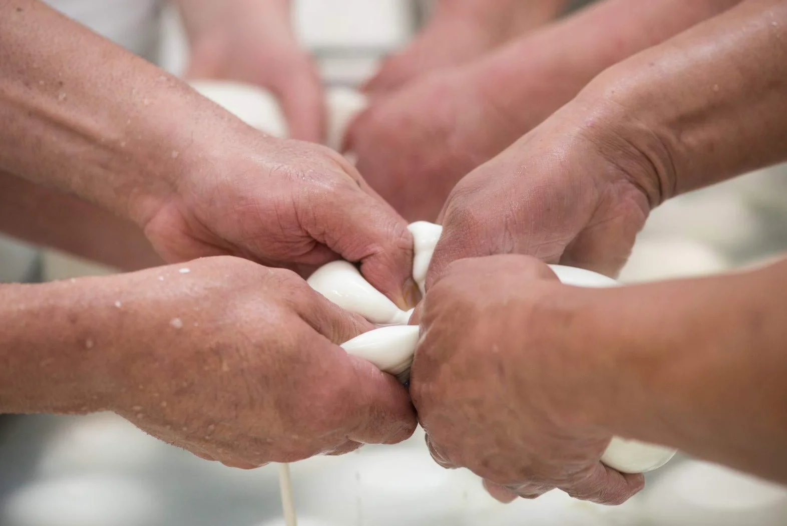 Mozzarella Aversana 100% latte di bufala fresco appena munto (Mozzarella di bufala treccia 2 da 500 grammi)