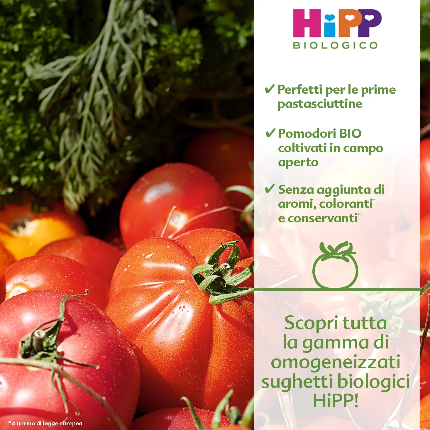 HiPP - Baby Sugo Biologico per Bambini, Gusto Ragù di Manzo, Senza Aggiunta di Sale e Aromi, 24 Vasetti da 80 g