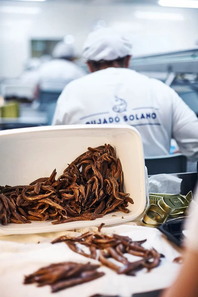 Pujado Solano | Filetti di Acciughe del Cantabrico in olio di oliva | Acciughe del Mar Cantabrico lavorate a mano | Acciughe Cantabrico set da 1 da 50g