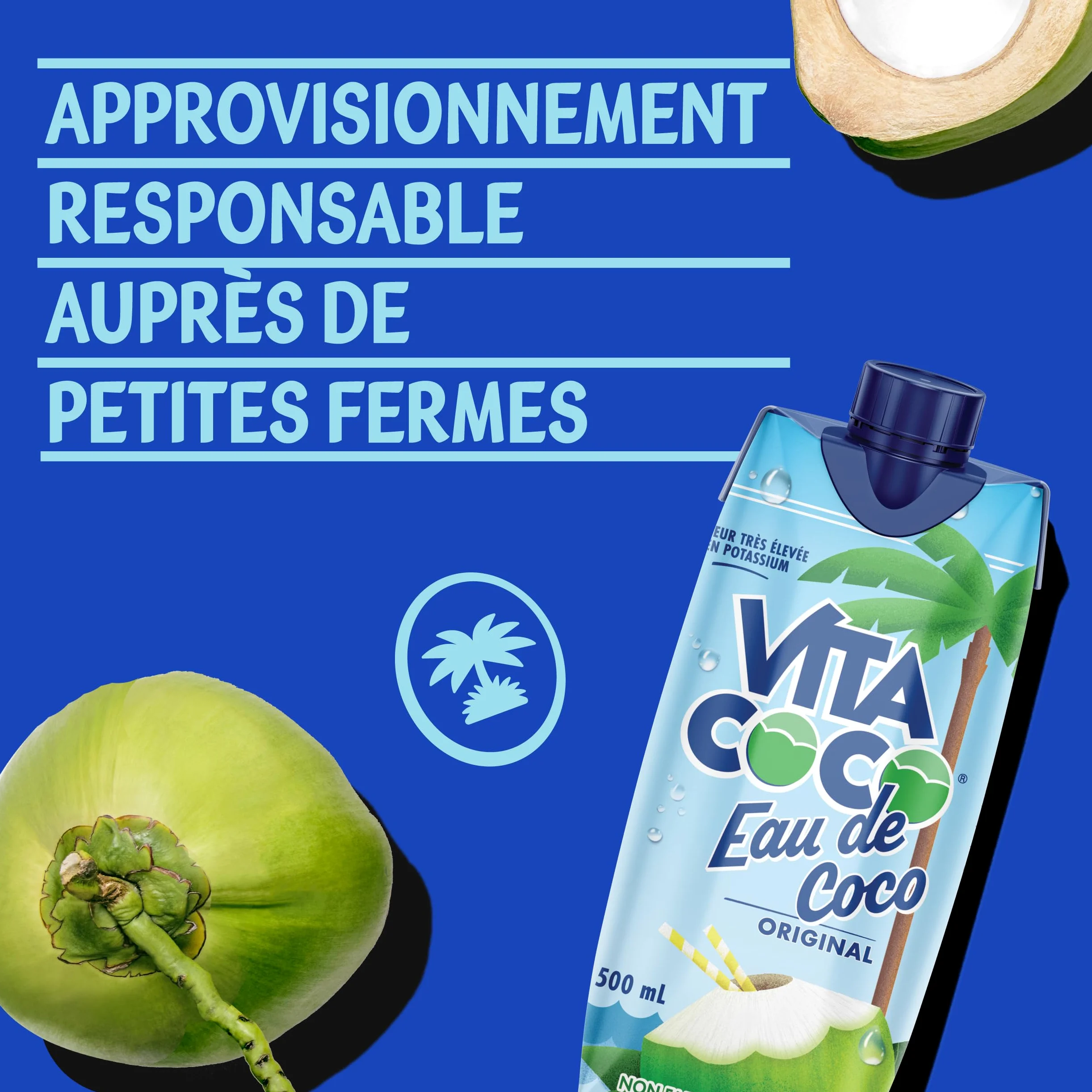 VITA COCO Coconut Water Tetra pak Original (Pure) 12x500ml (Pack of 12)