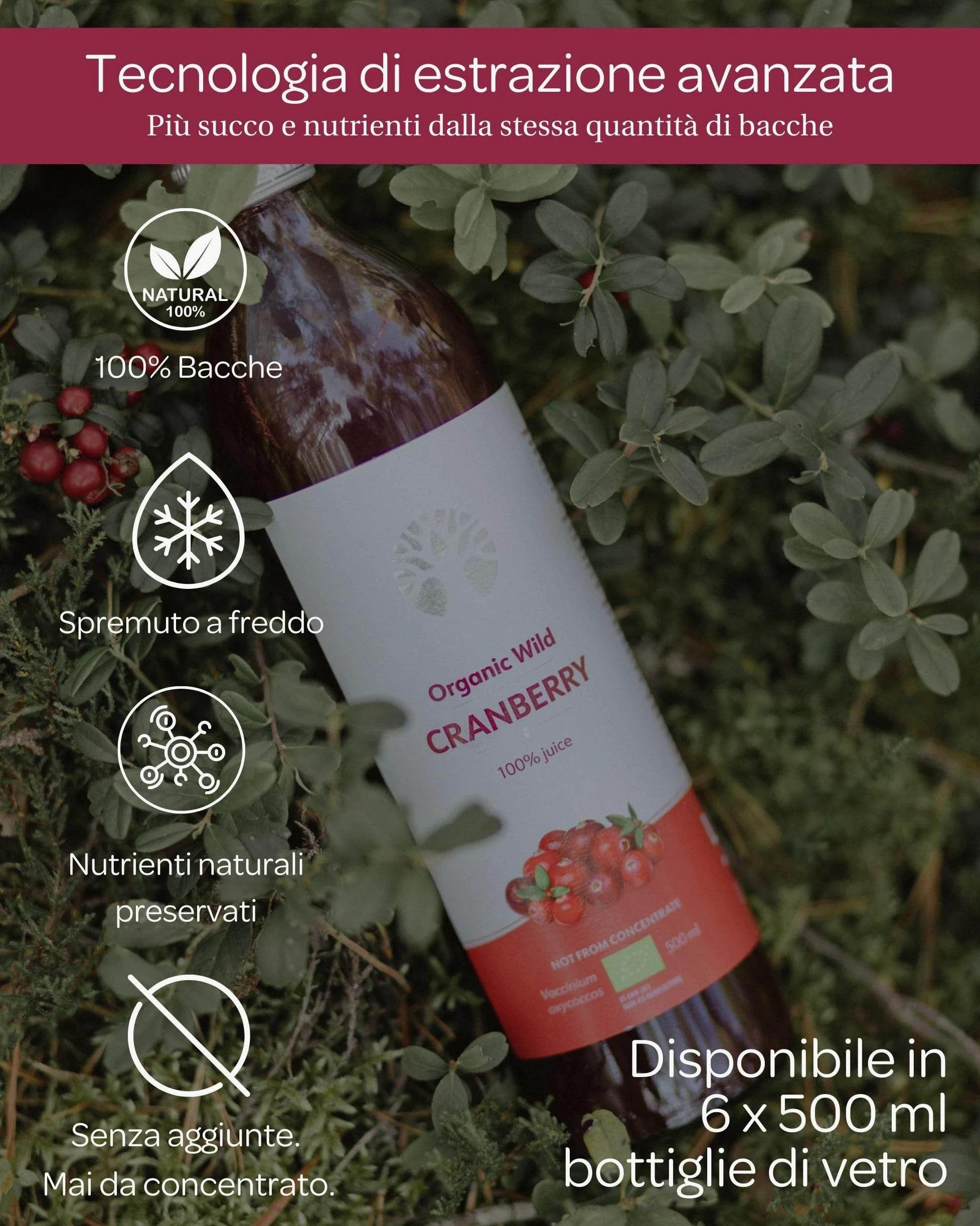 Succo di mirtillo rosso selvatico biologico LOOV – 100% puro, spremuto a freddo, senza zuccheri aggiunti – Sapore forte, non da concentrato – 6 x 500 ml in vetro