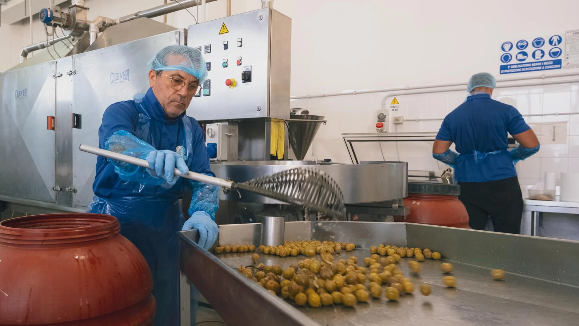 Terramia Olive Nere al Forno Siciliane Varietà "Giarraffa" – Prodotto Artigianale da Azienda Premiata Ercole Olivario e Monna Oliva, Formato Scorta 2kg (4 Buste x 500g)