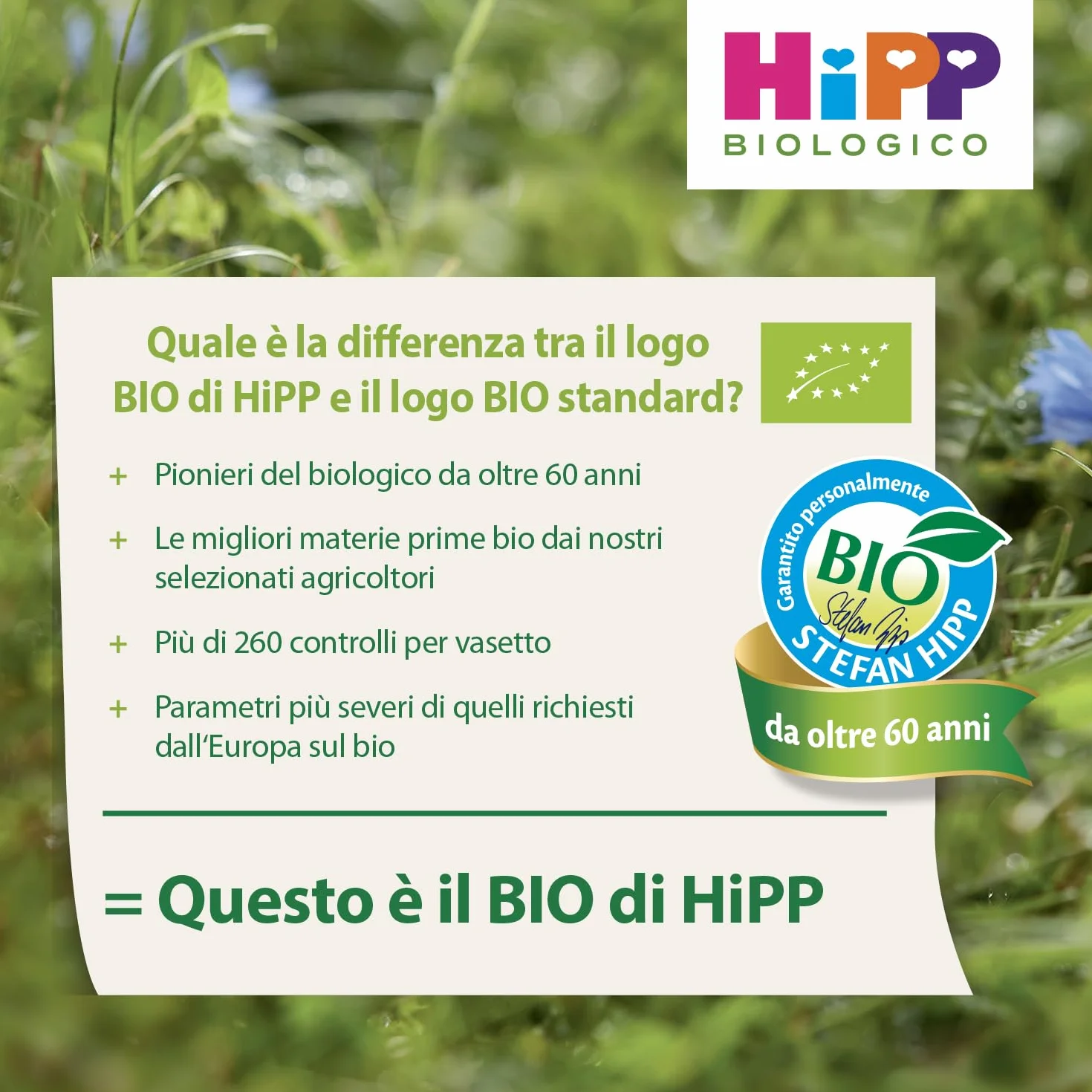 HiPP - Baby Sugo Biologico per Bambini, Gusto Ragù di Manzo, Senza Aggiunta di Sale e Aromi, 24 Vasetti da 80 g