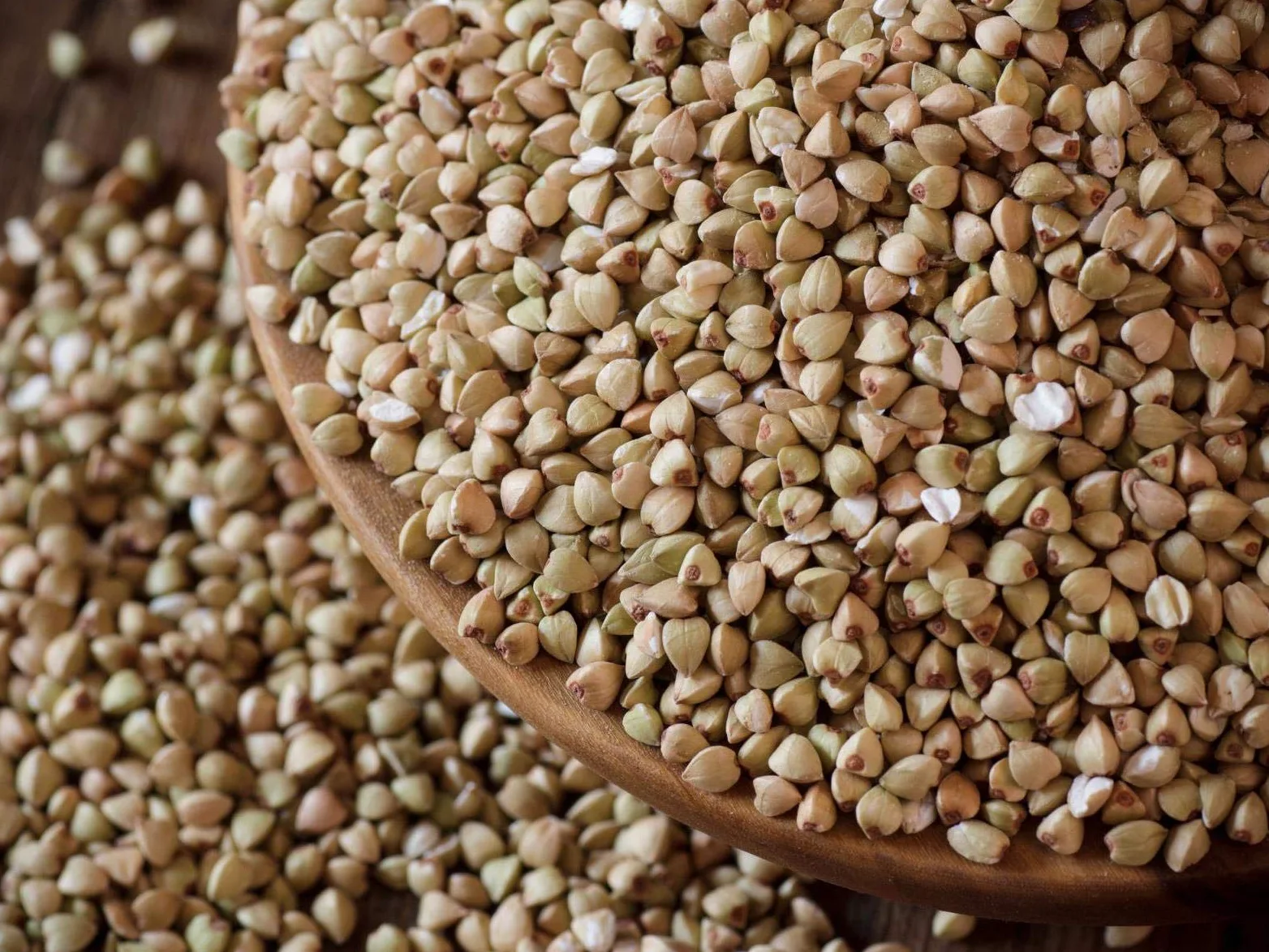 Bäckerei Spiegelhauer Grano saraceno biologico decorticato 25 kg I Senza glutine germinabile I Provenienza Lituania I Per pane germogliato germogli e farina vegano