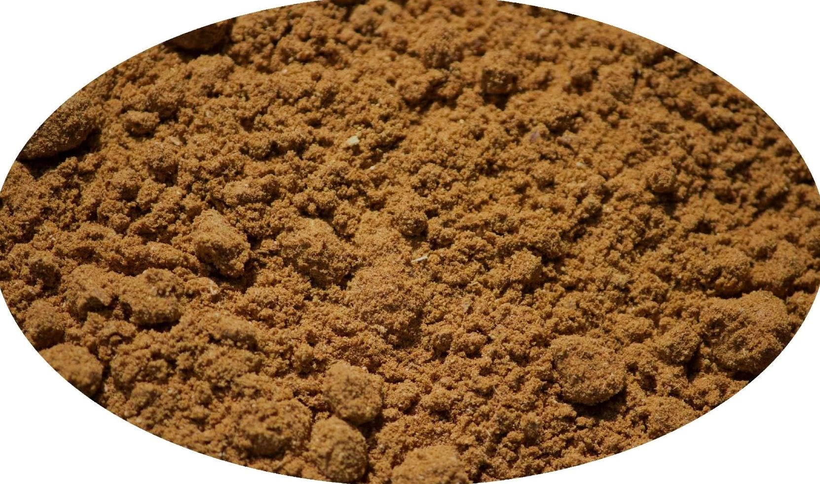 Eder Spezie - Spezie per Pan di Zenzero / Pane speziato / Panpepato - 1kg