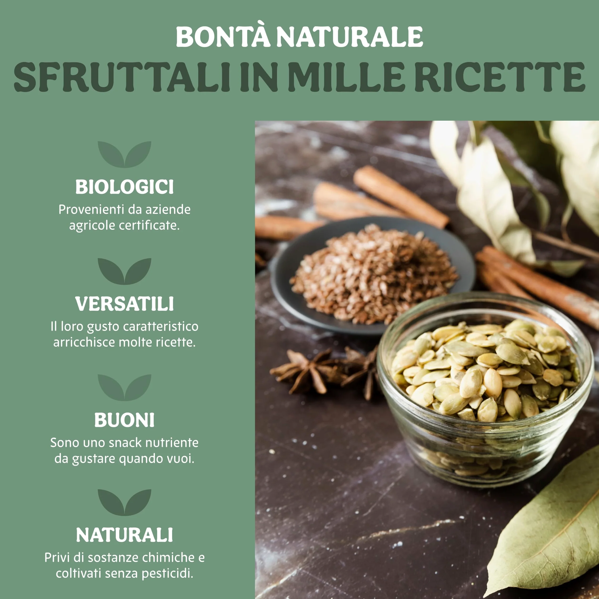 Probios Semi di Zucca Bio - Ricchi di Nutrienti - Perfetto per Piatti Dolci e Salati - Deliziosi e di Qualità Premium Semi Zucca - Confezione da 5 kg