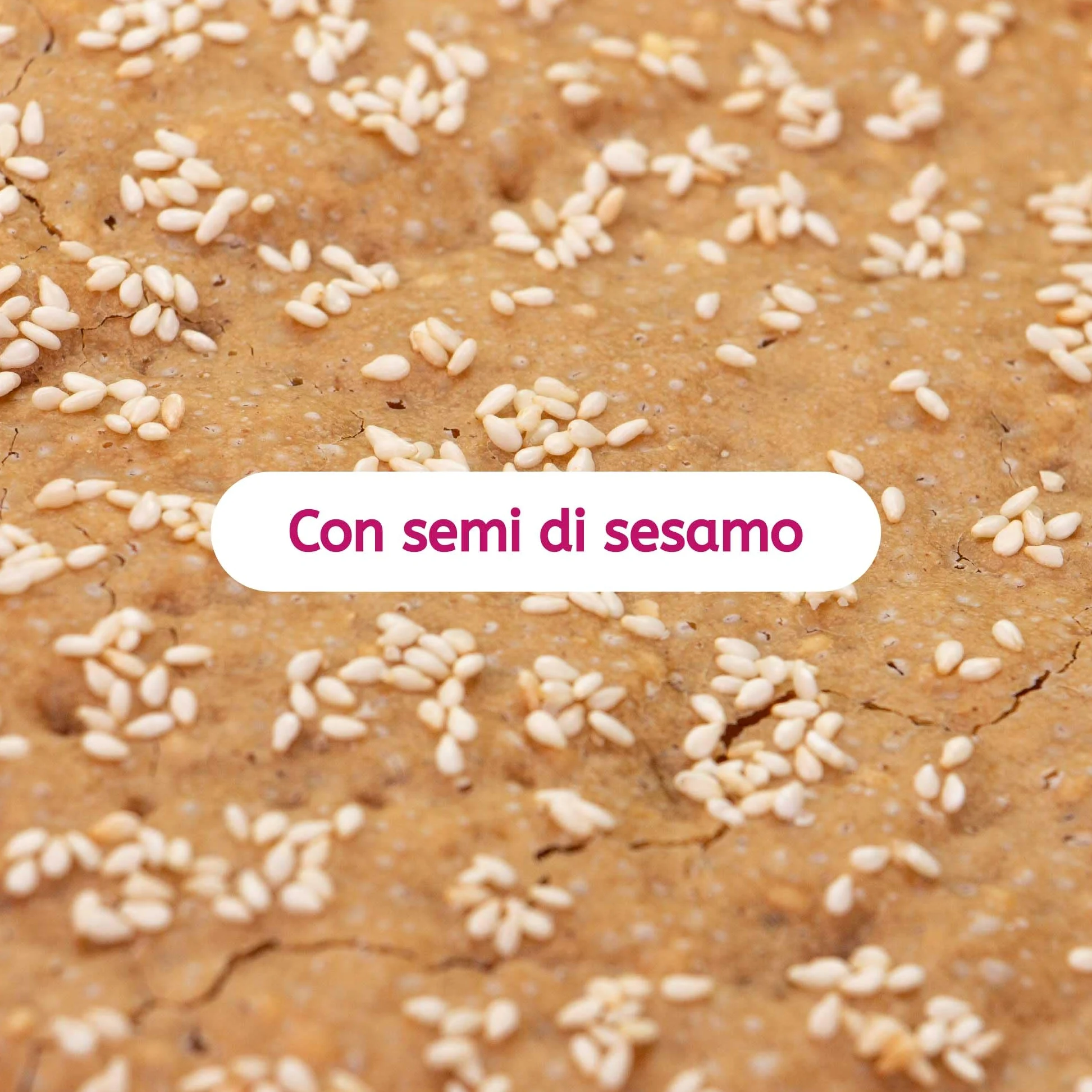 GUSTOS - 8 confezioni di Pane tradizionale dell'Alto Adige "Schüttelbrot" di segale | con Semi di Sesamo |150 g ciascuna, fatto a mano, gustoso e croccantissimo.