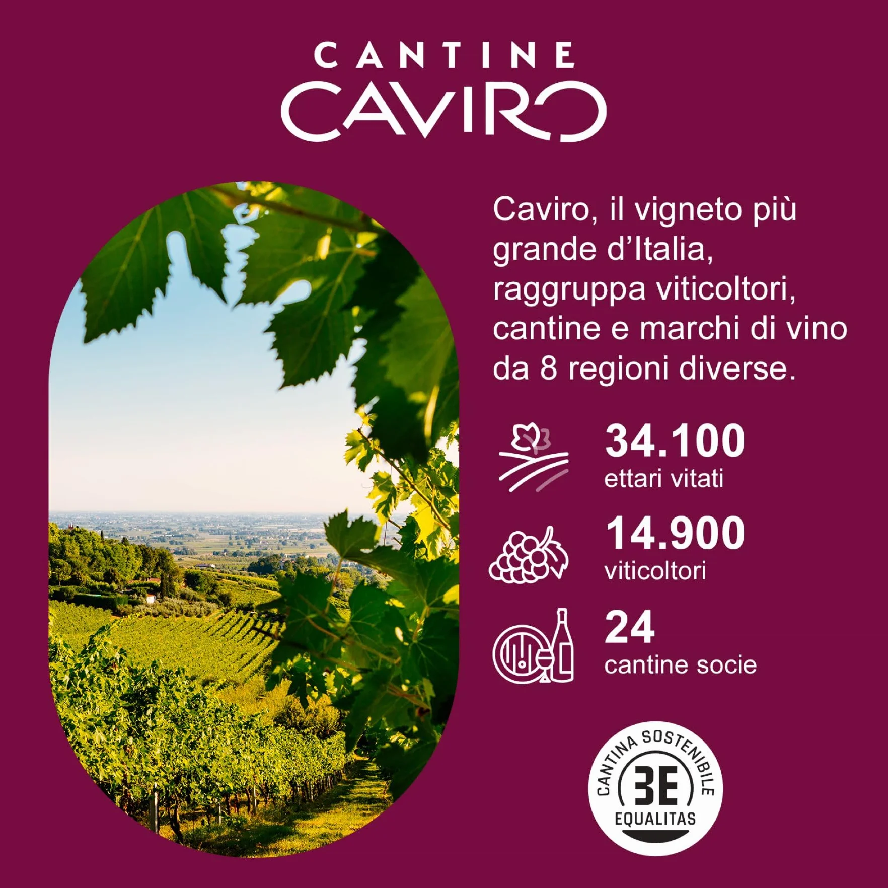 Feudo Apuliano Primitivo di Manduria DOP, Vino Rosso dal Gusto Corposo, Caldo con Retrogusto Persistente e Avvolgente, con Note di Frutta Matura, 15% Vol, Confezione con 6 Bottiglie da 750 ml