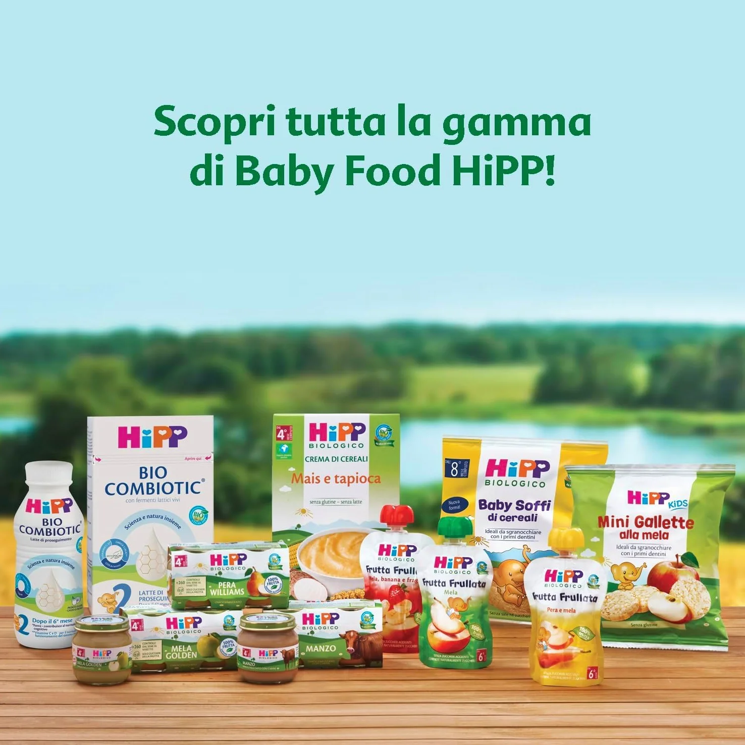 HiPP Latte Comfort in Polvere, Anti-Coliche, dalla Nascita Fino AI 12 Mese, 4 Confezioni da 600 gr, Latte in Polvere, Neonato, Latte in Polvere per Neonati