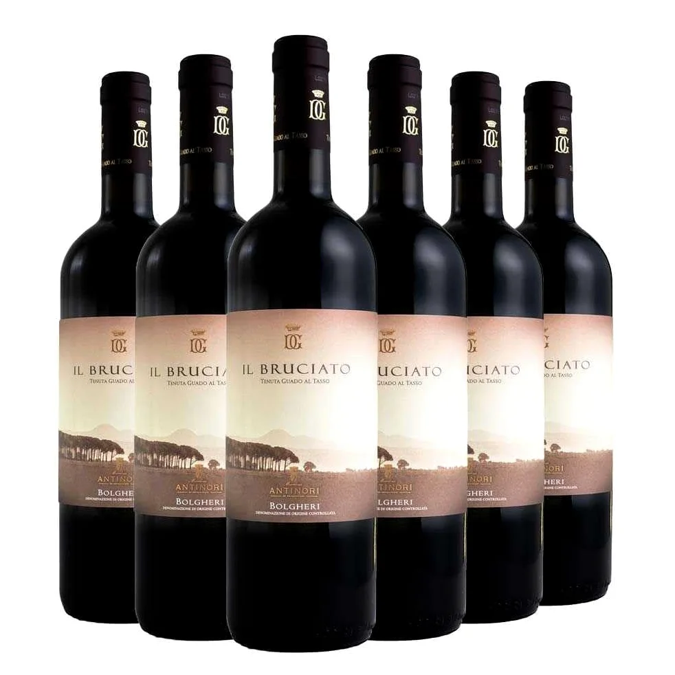 6 Bottiglie Il Bruciato Bolgheri 2024