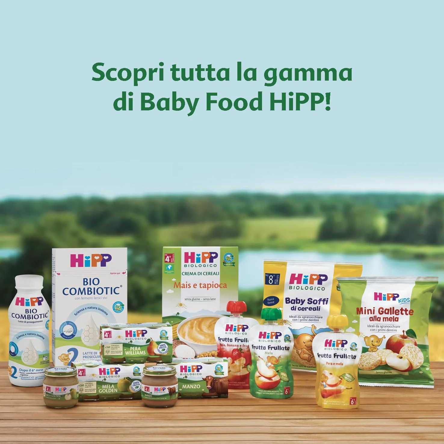 HiPP - Omogeneizzato di Carne per Neonati, Gusto Coniglio con Patate, Senza glutine, Senza Sali e Aromi Aggiunti, 24 Vasetti da 80 g